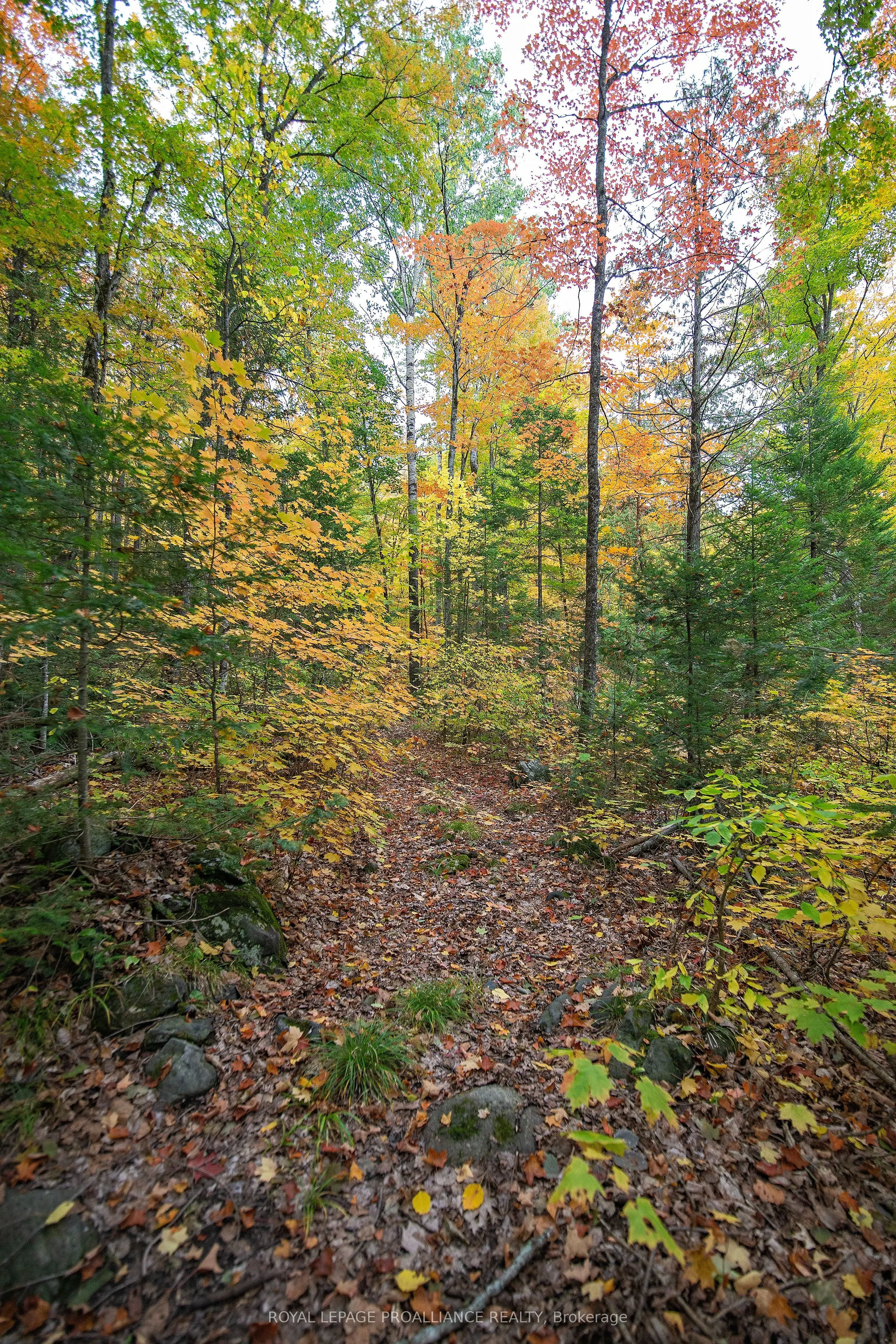 112 Little Finch Lake Road