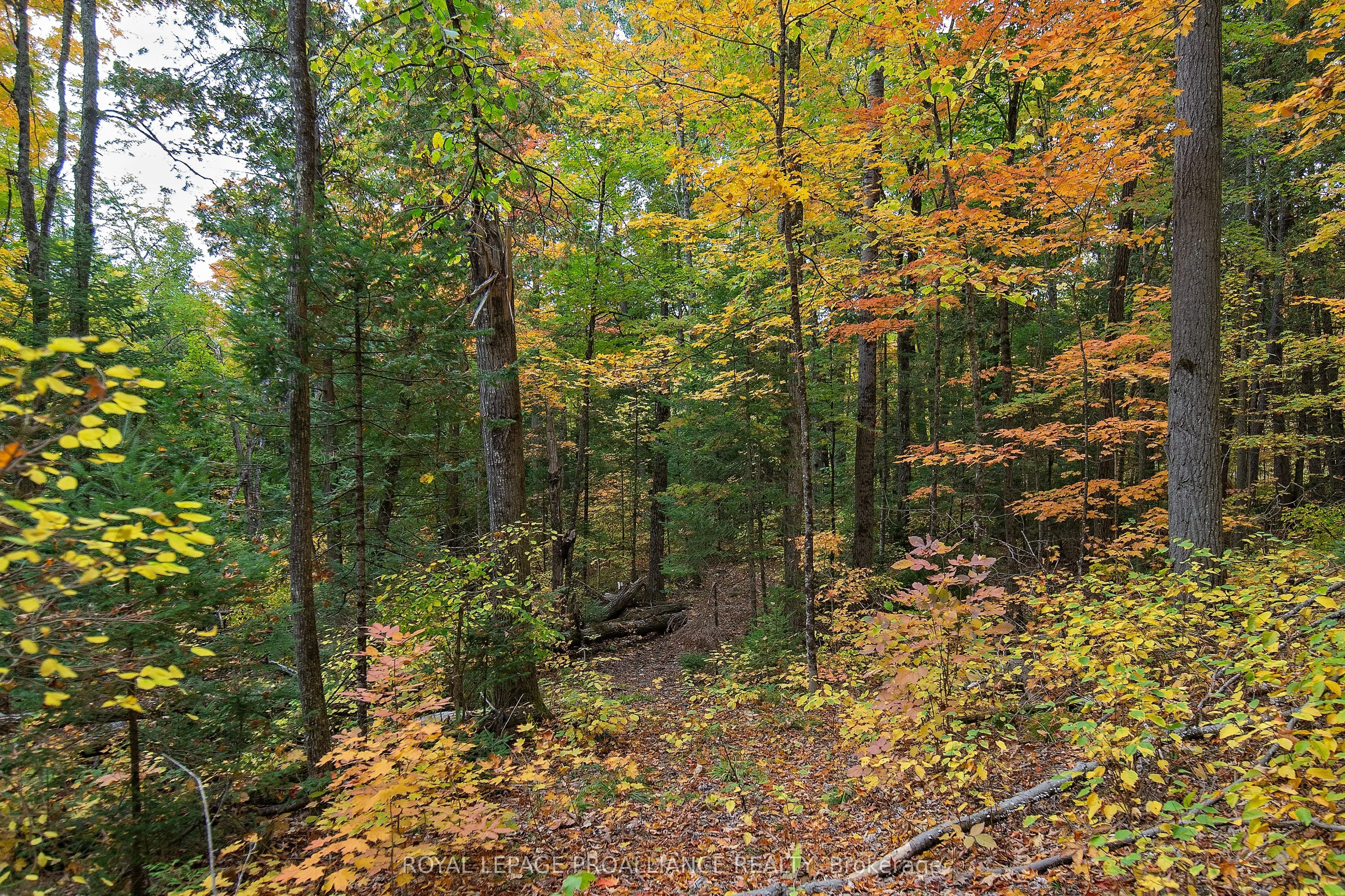 112 Little Finch Lake Road