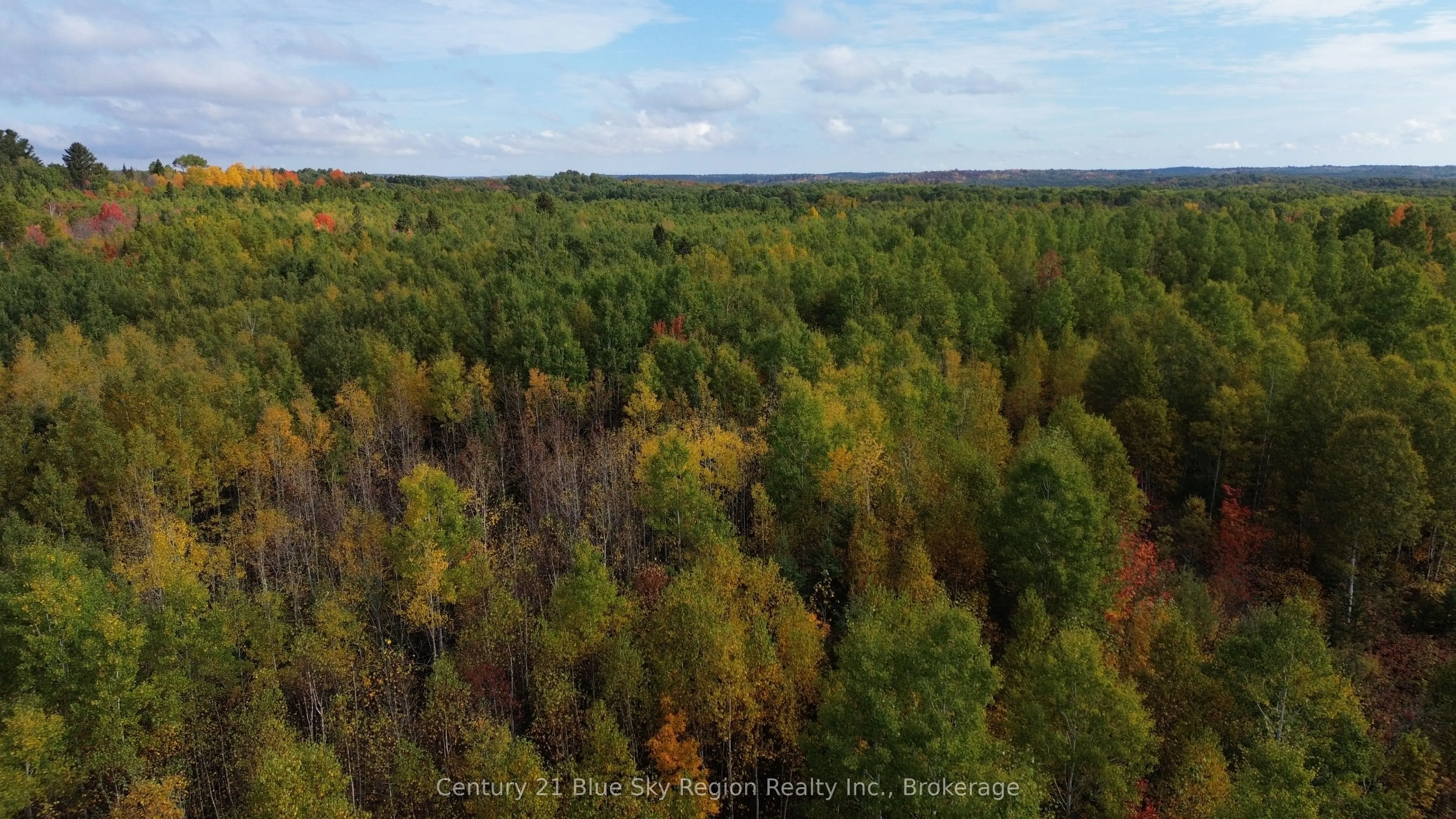 LOT 5 CON 3 Guillemette Road