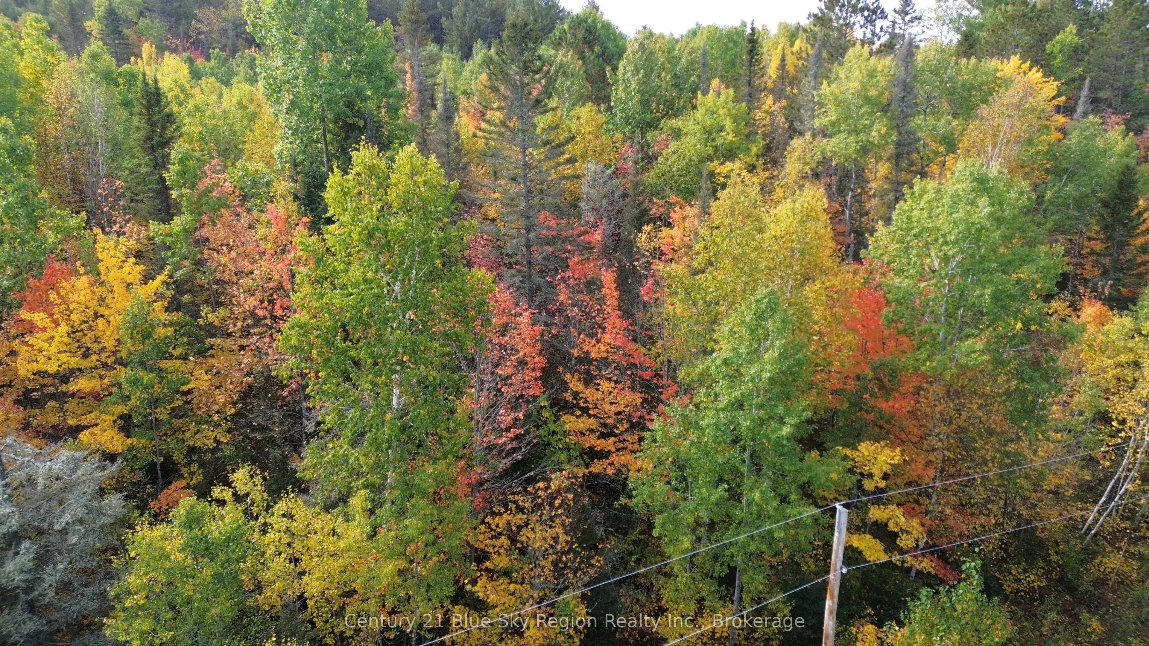 LOT 5 CON 3 Guillemette Road