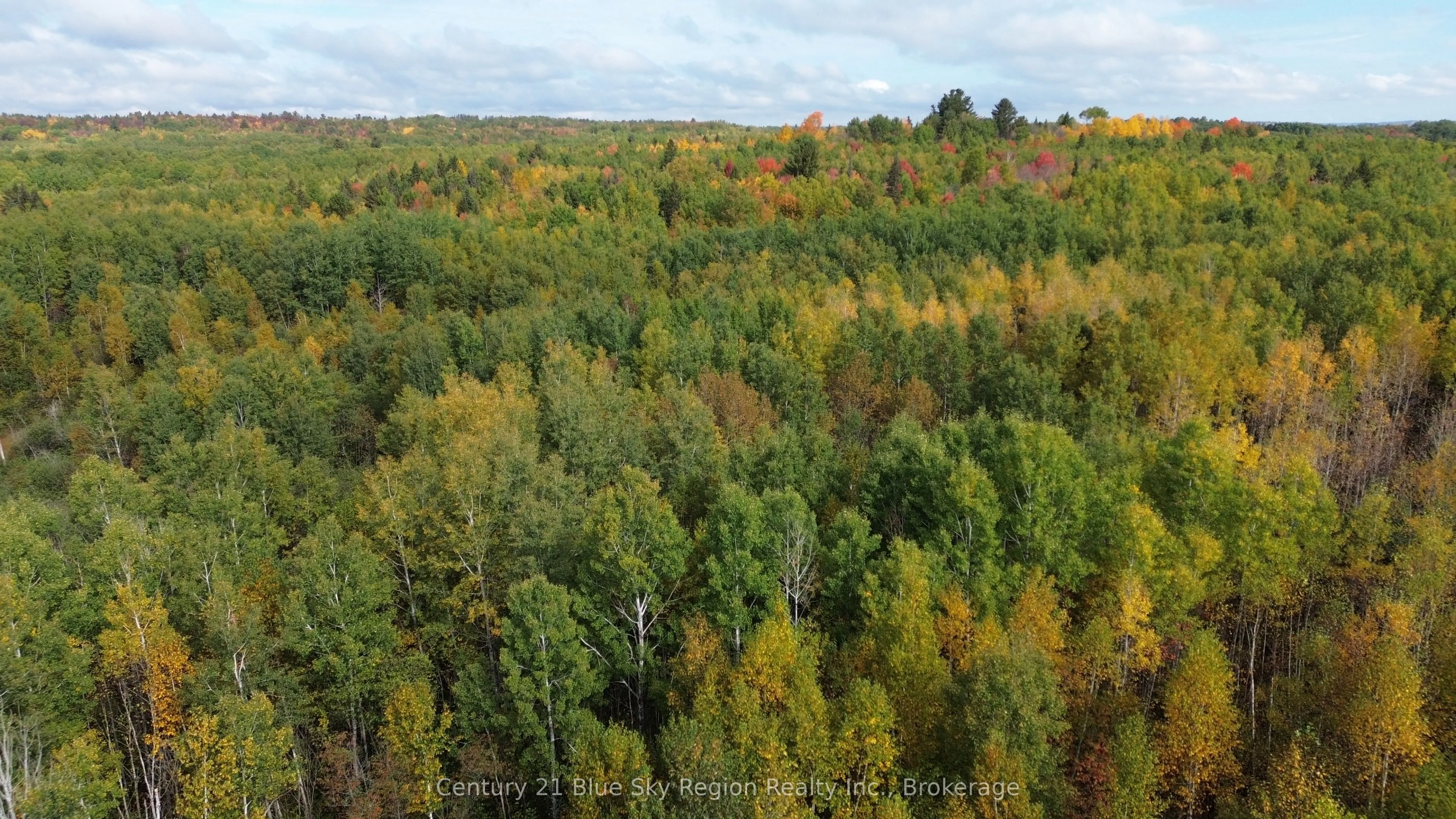 LOT 5 CON 3 Guillemette Road