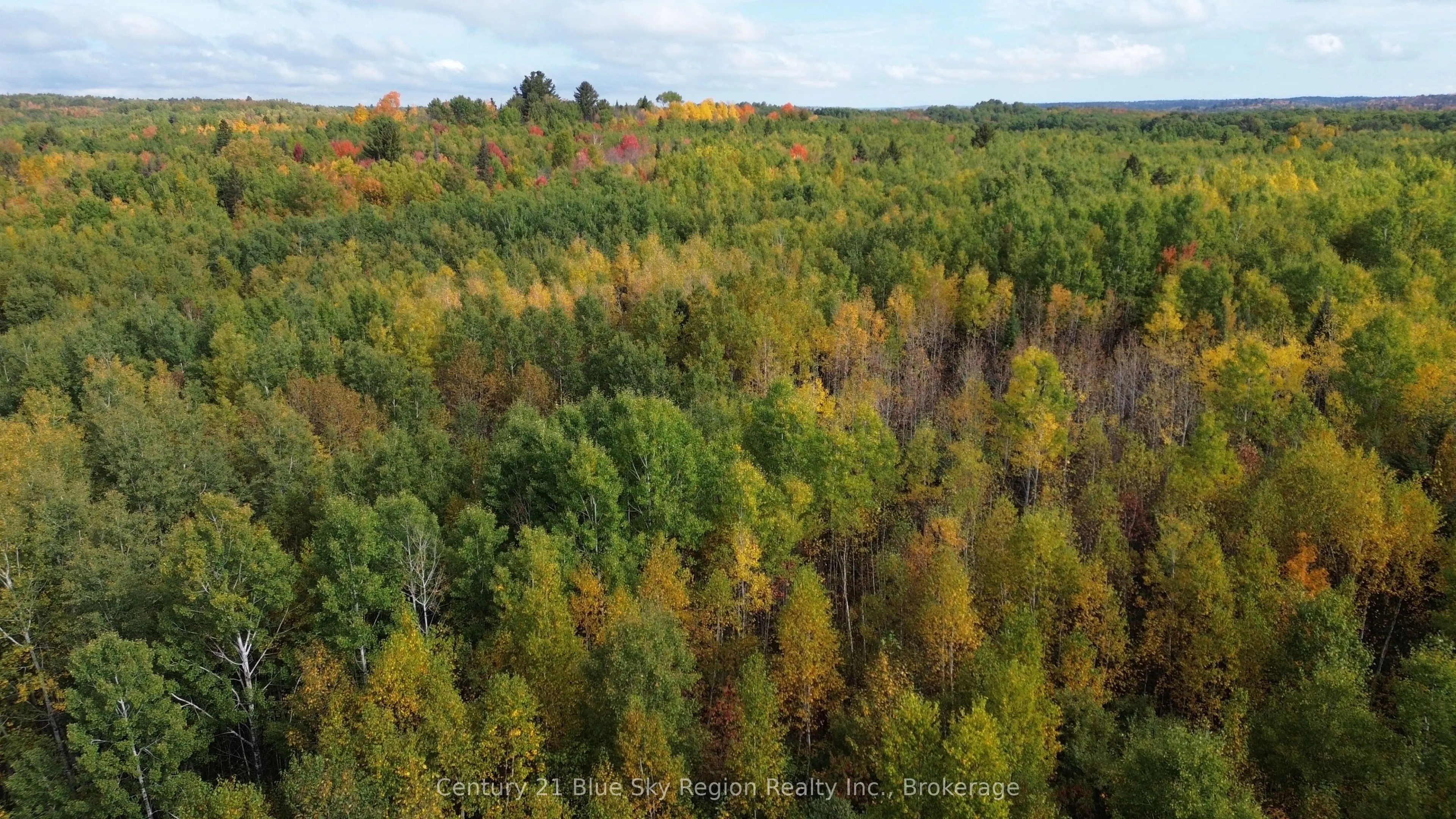 LOT 5 CON 3 Guillemette Road