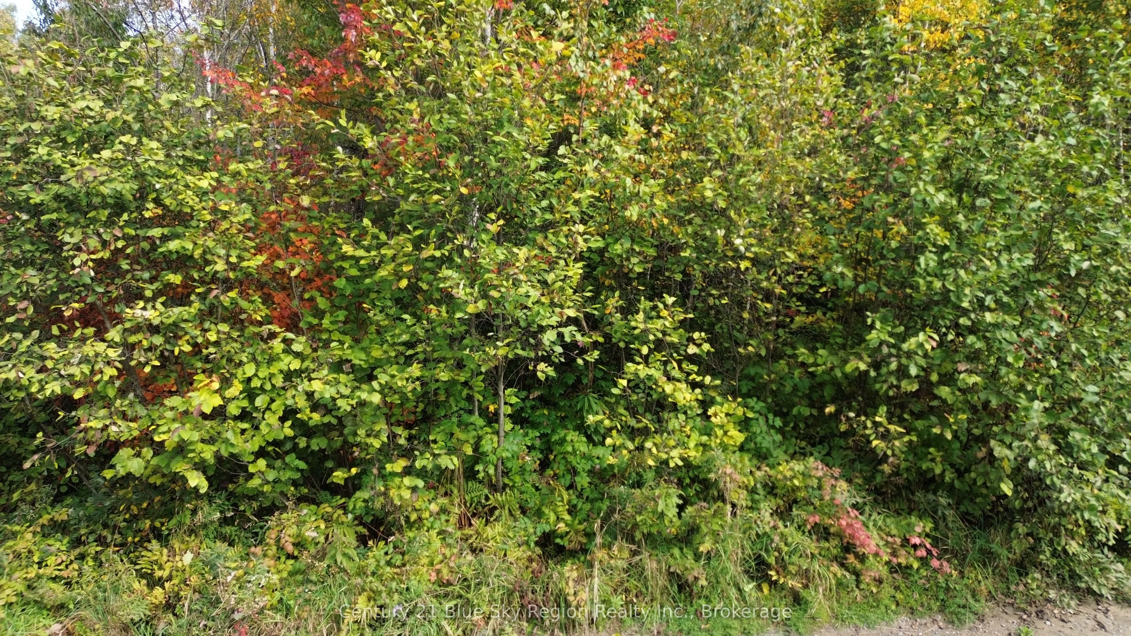 LOT 5 CON 3 Guillemette Road