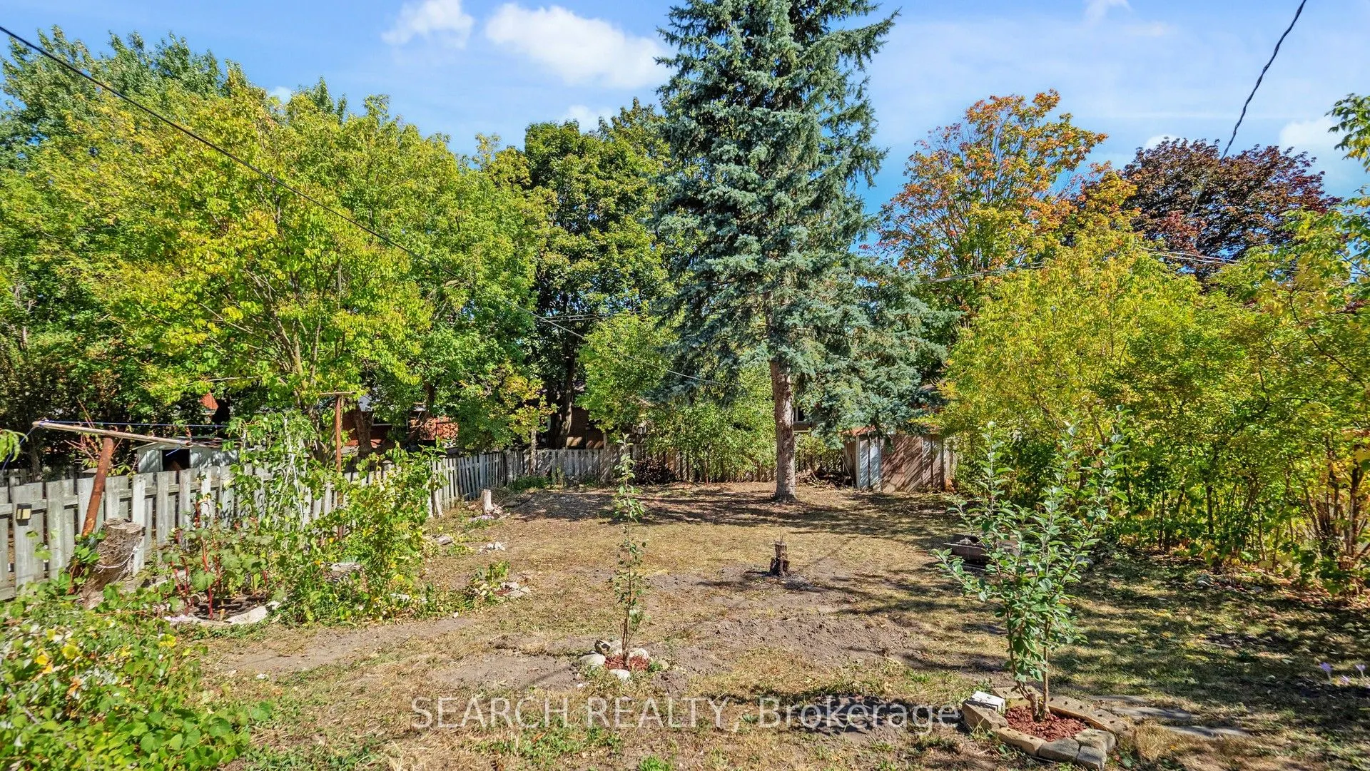 152 Weber Street N