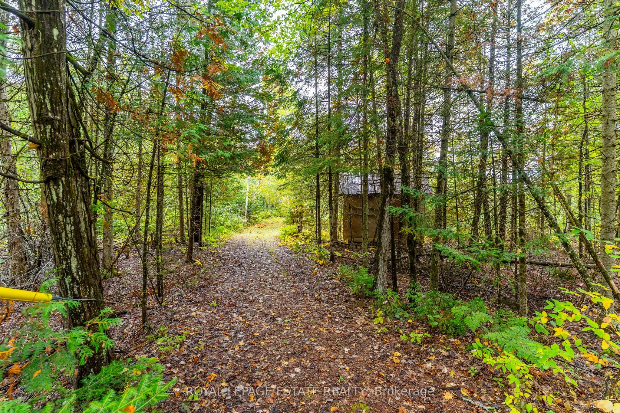 LOT 18 Crego Lake Road