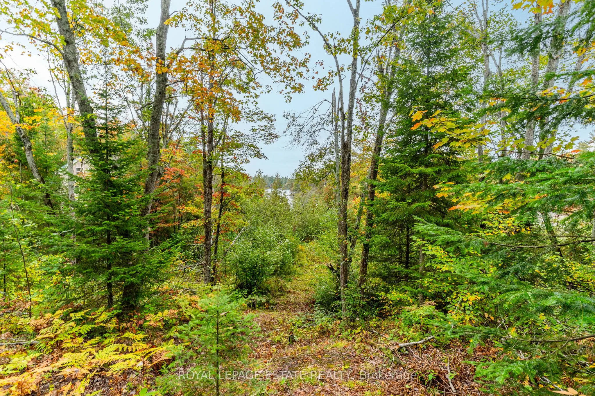 Block B Crego Lake Road