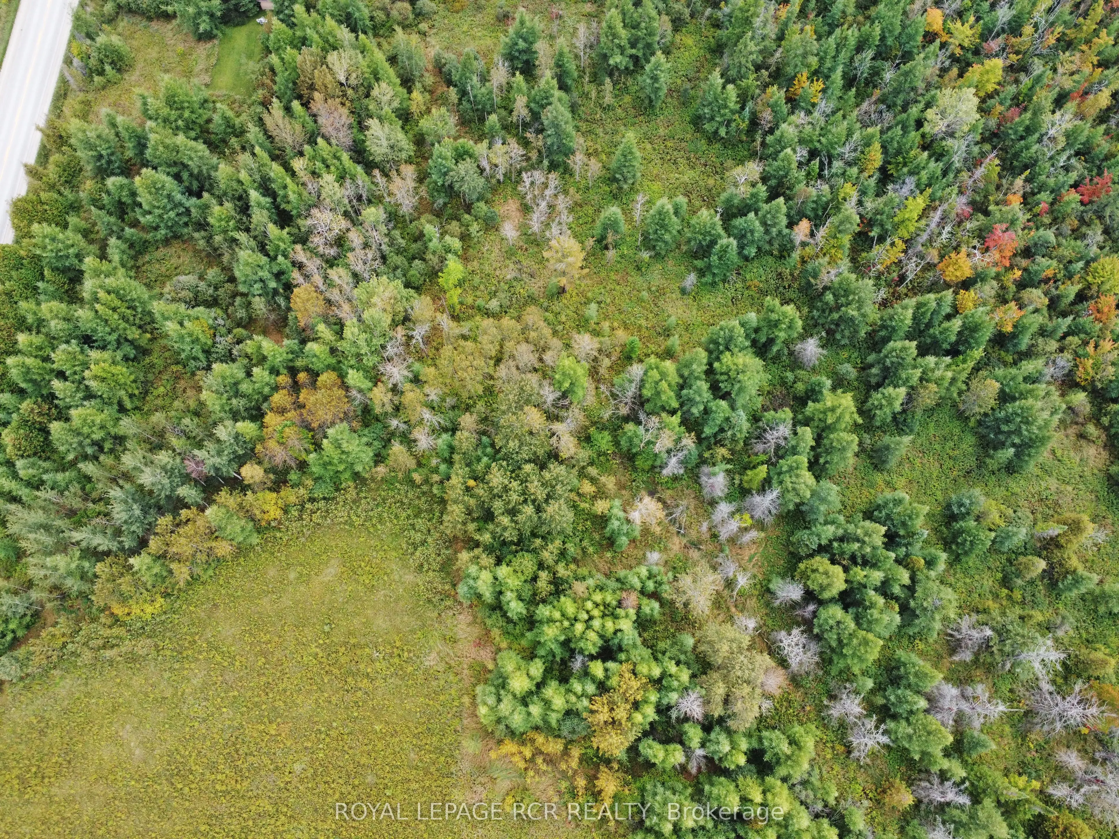 1125XX GREY ROAD 14 Road