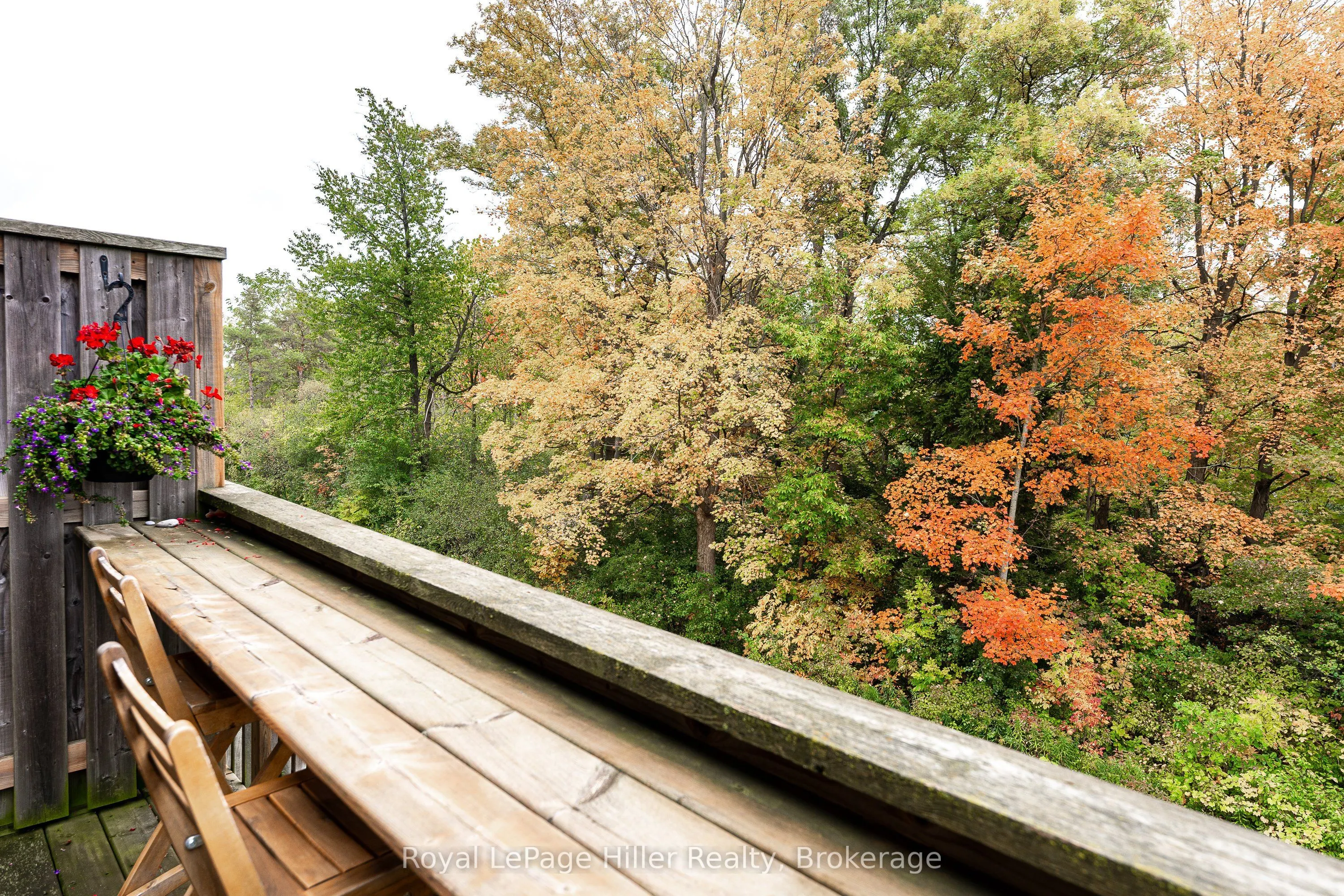 2235 Blackwater Road, #53