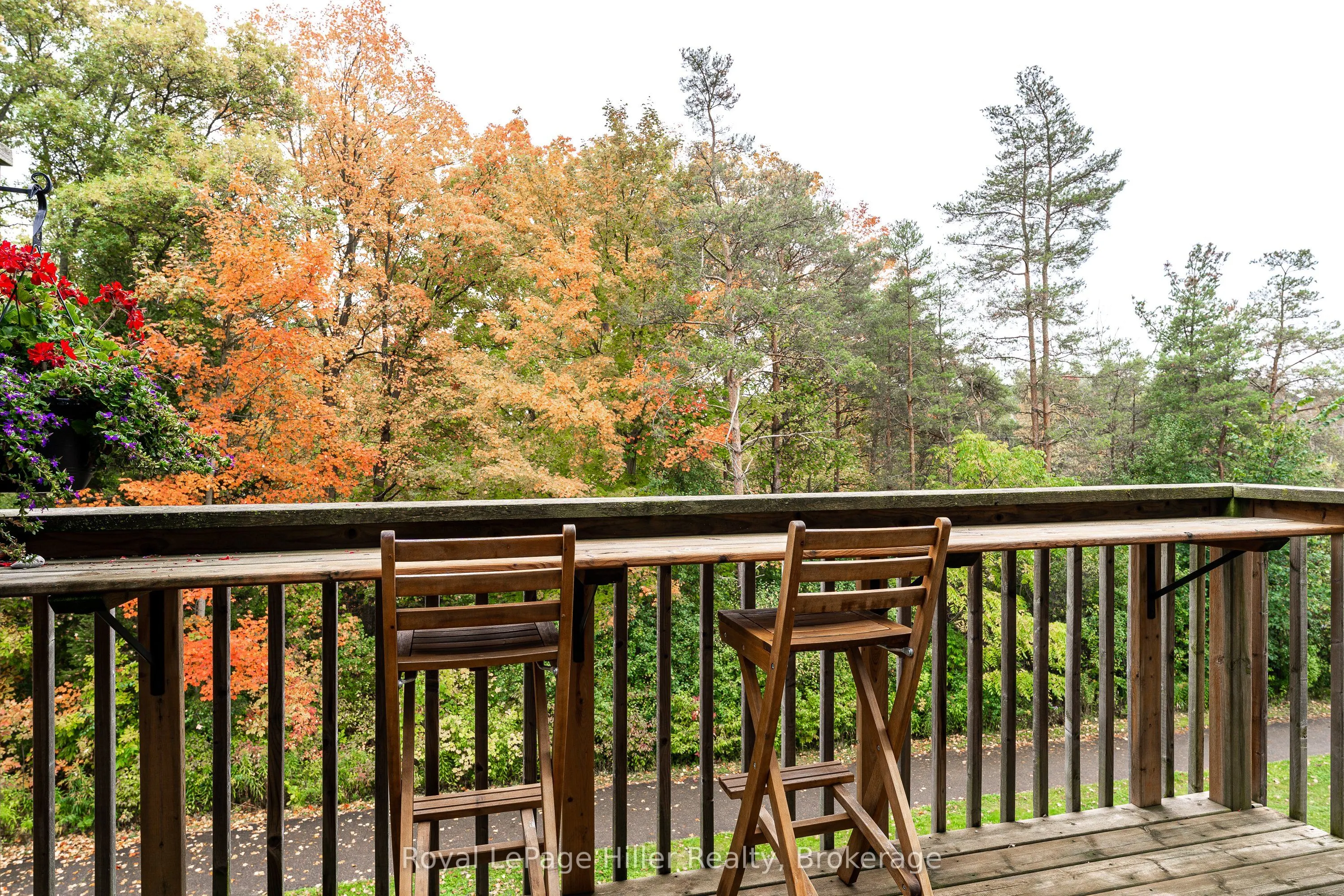 2235 Blackwater Road, #53