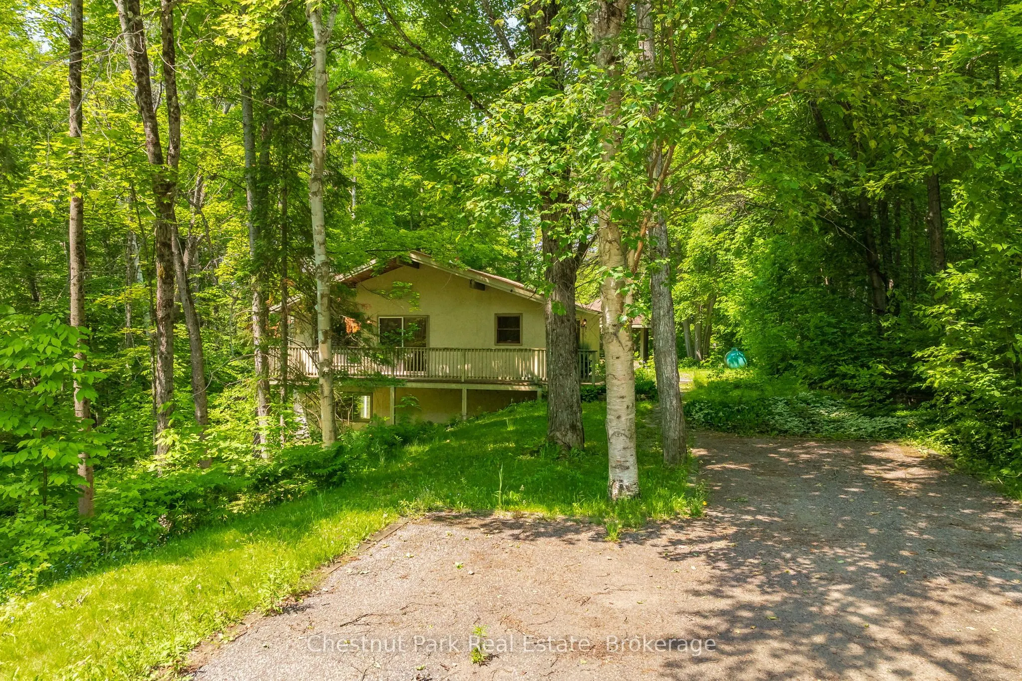 115 Woodland Drive