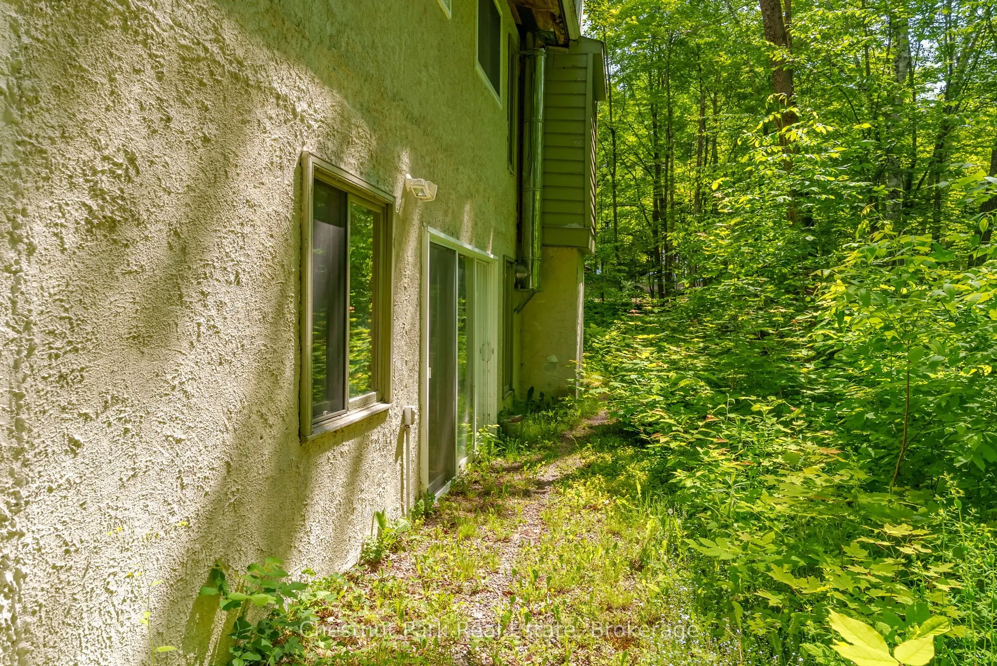 115 Woodland Drive