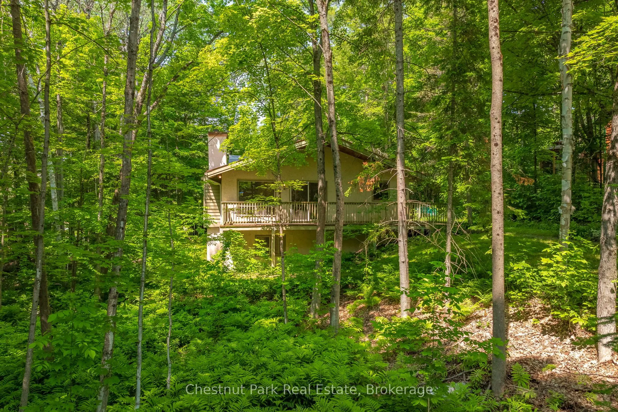 115 Woodland Drive