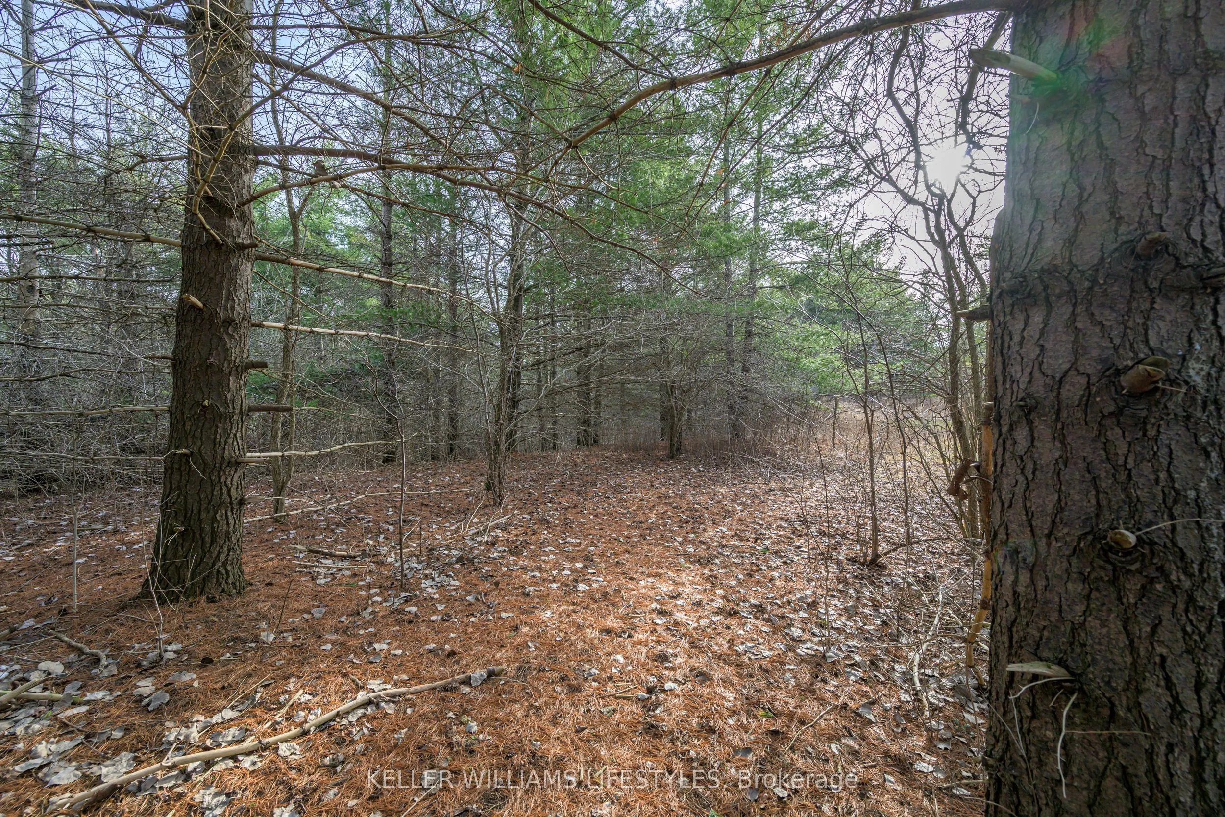 4838 Switzer Drive, #A22