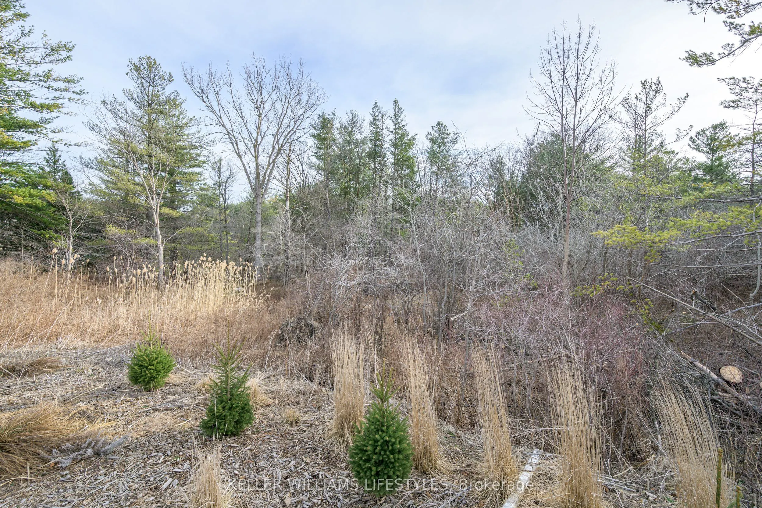 4838 Switzer Drive, #A22