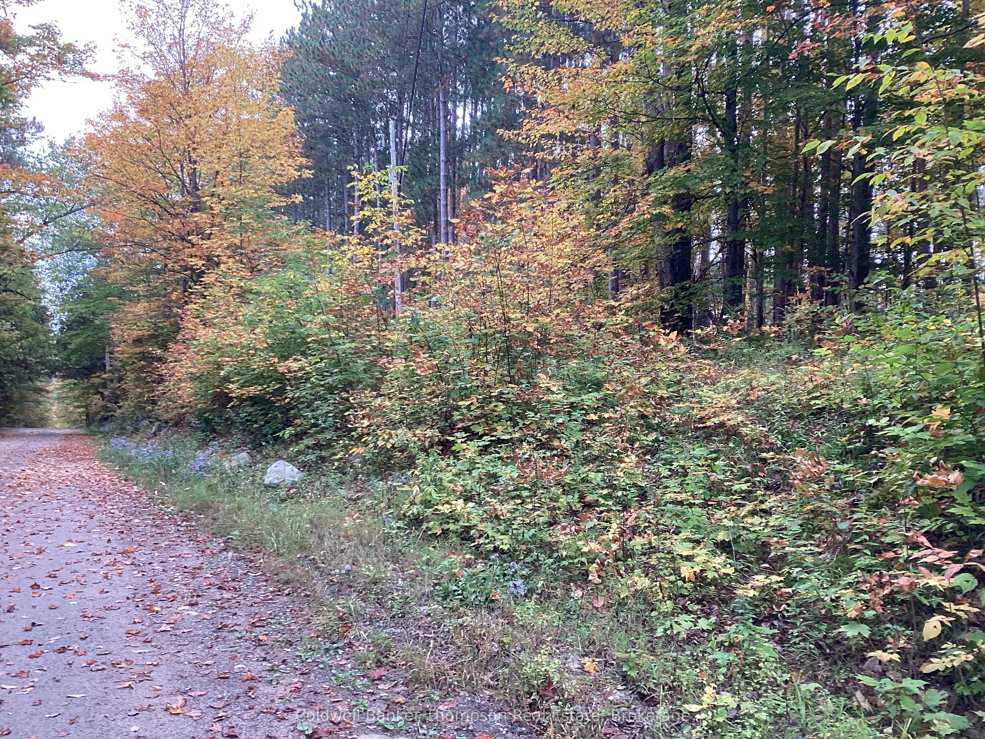 4 Snowshoe Lane