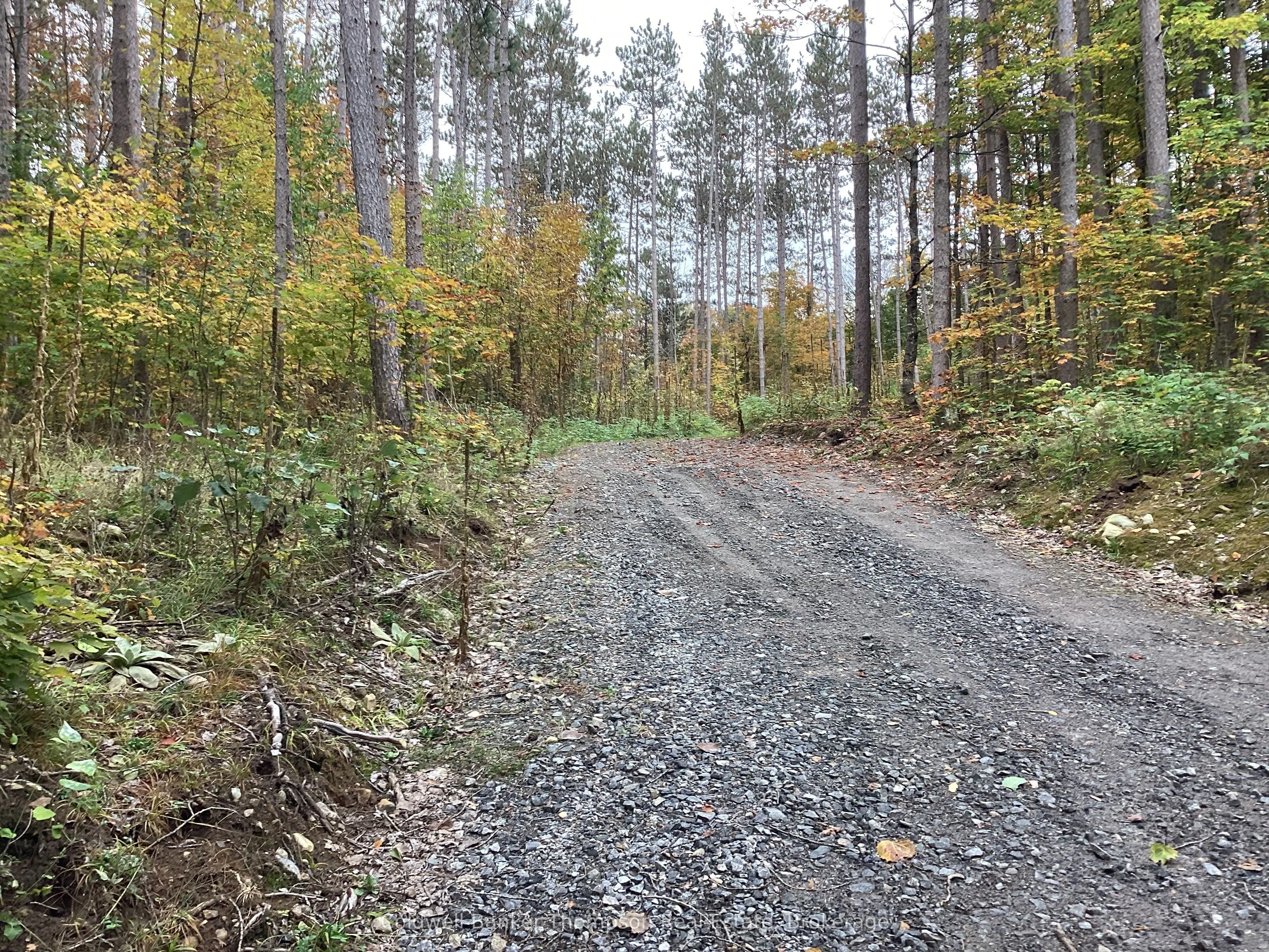4 Snowshoe Lane