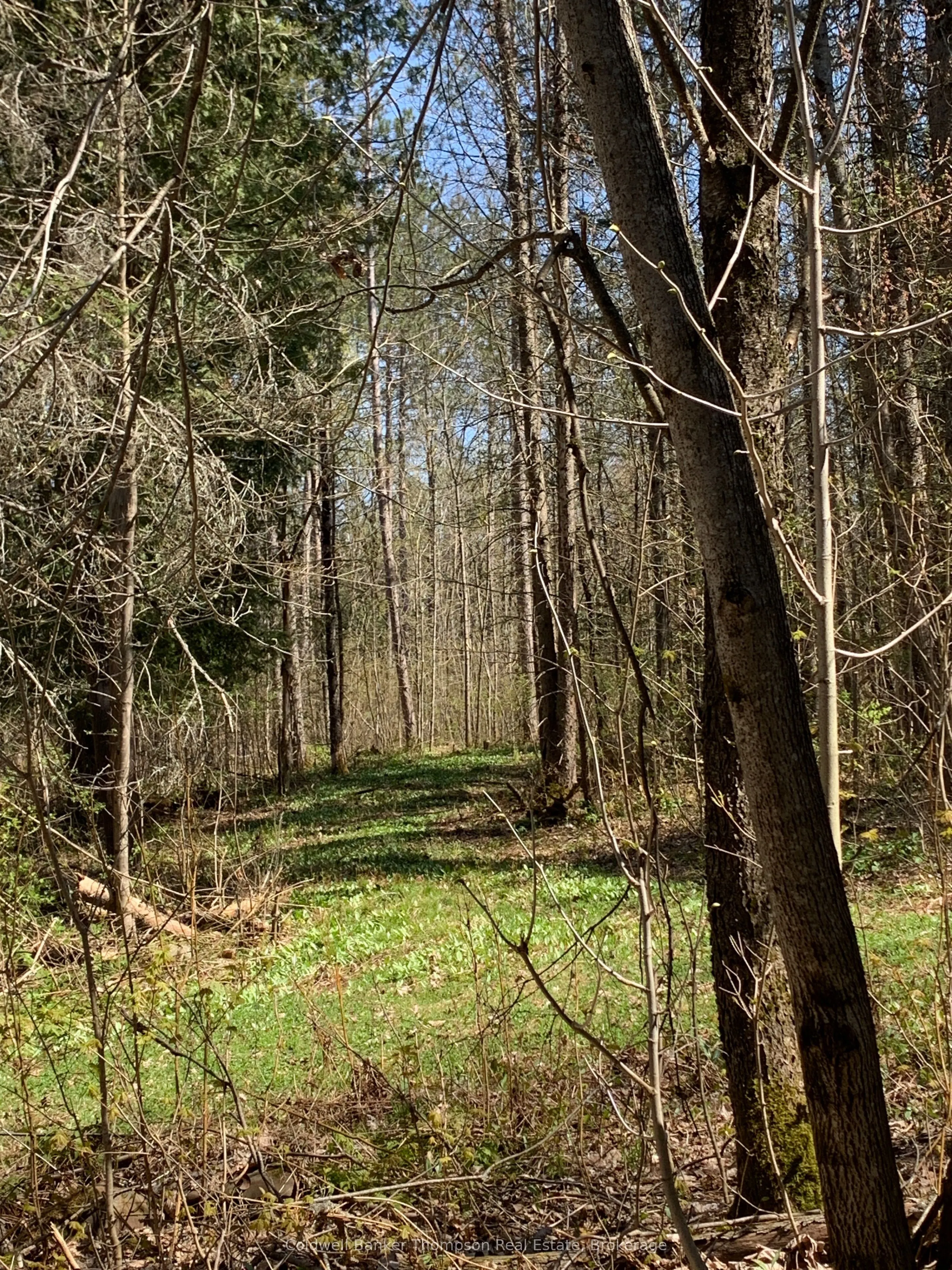 4 Snowshoe Lane
