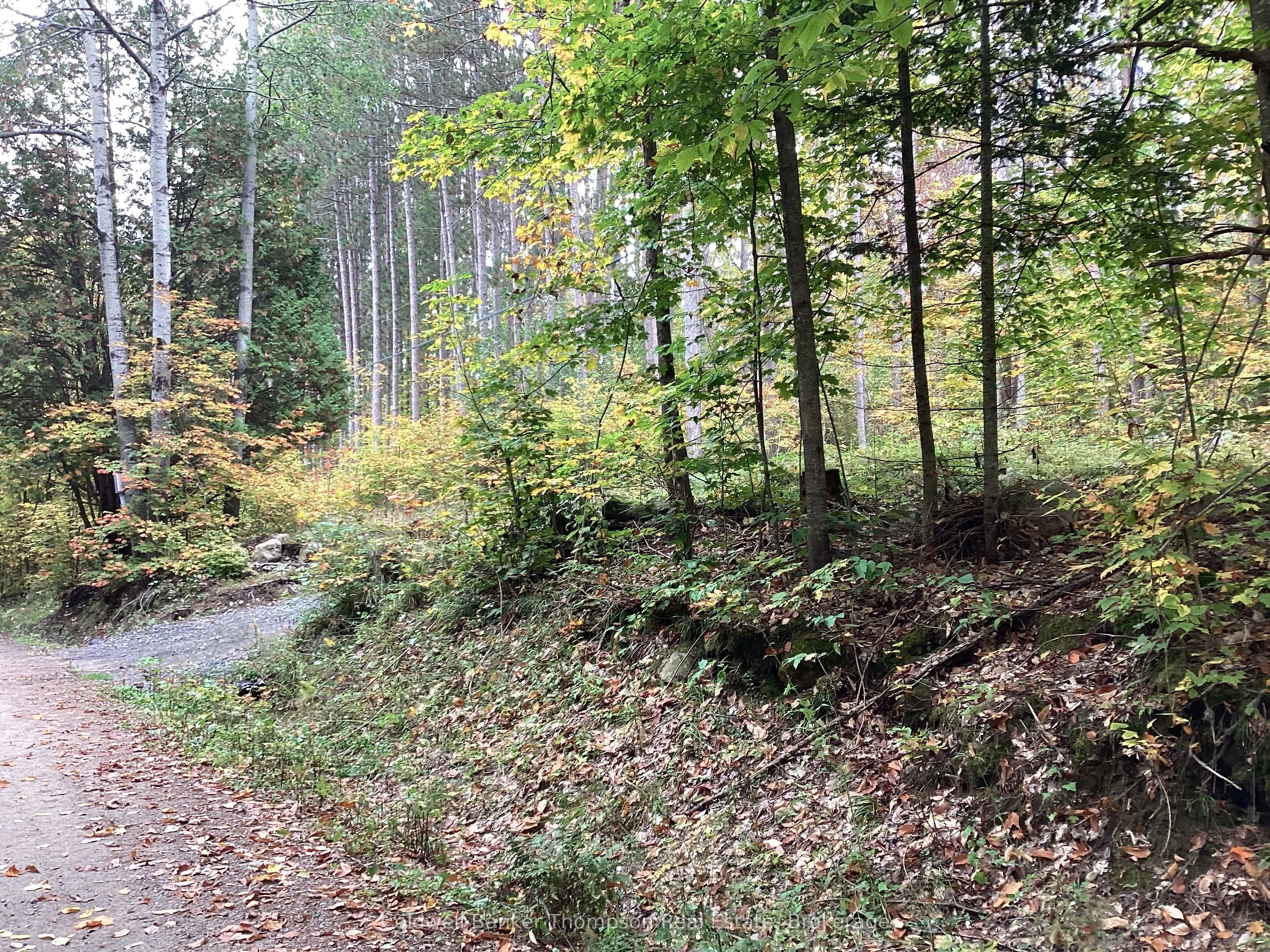 4 Snowshoe Lane