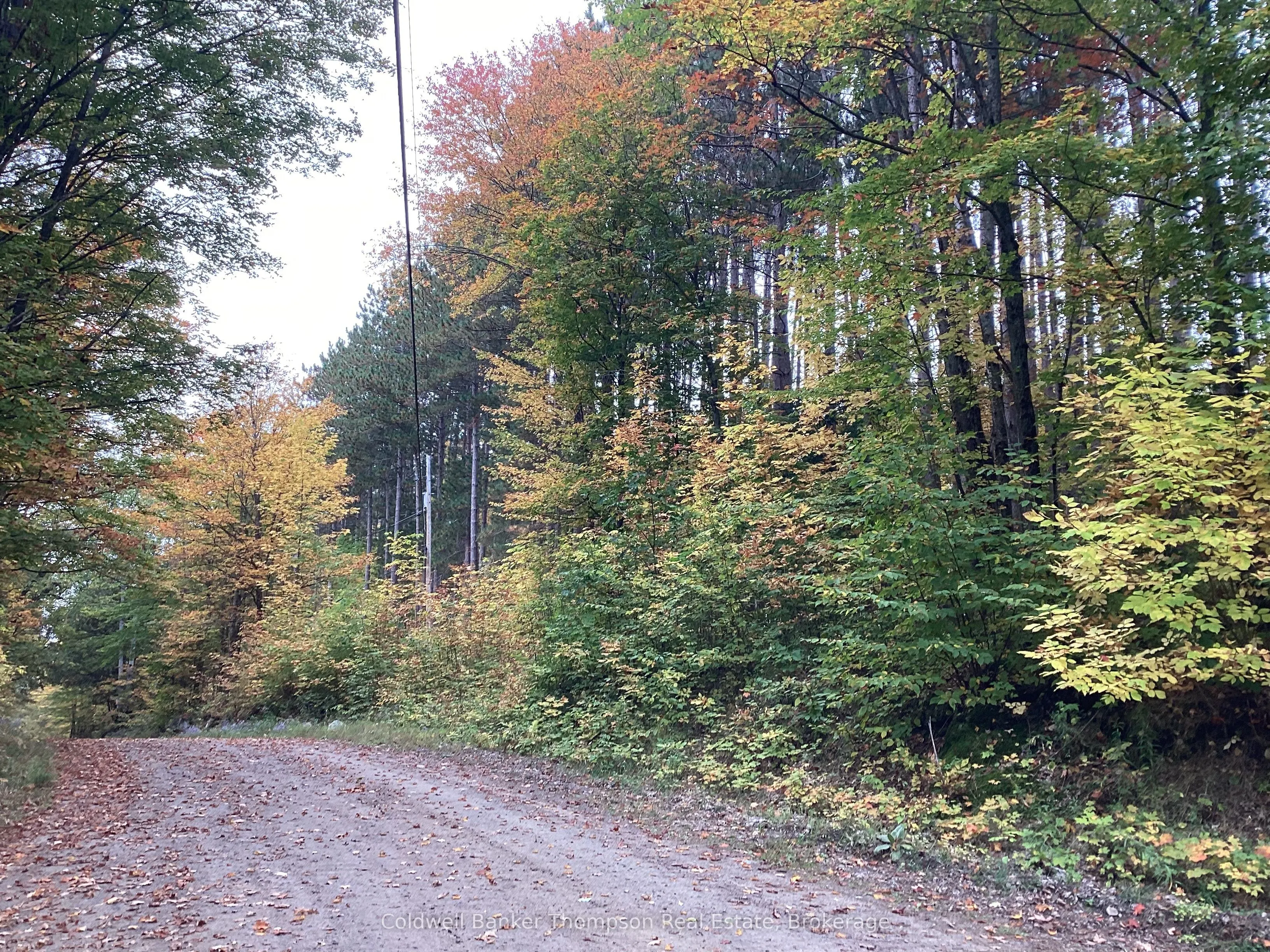 4 Snowshoe Lane