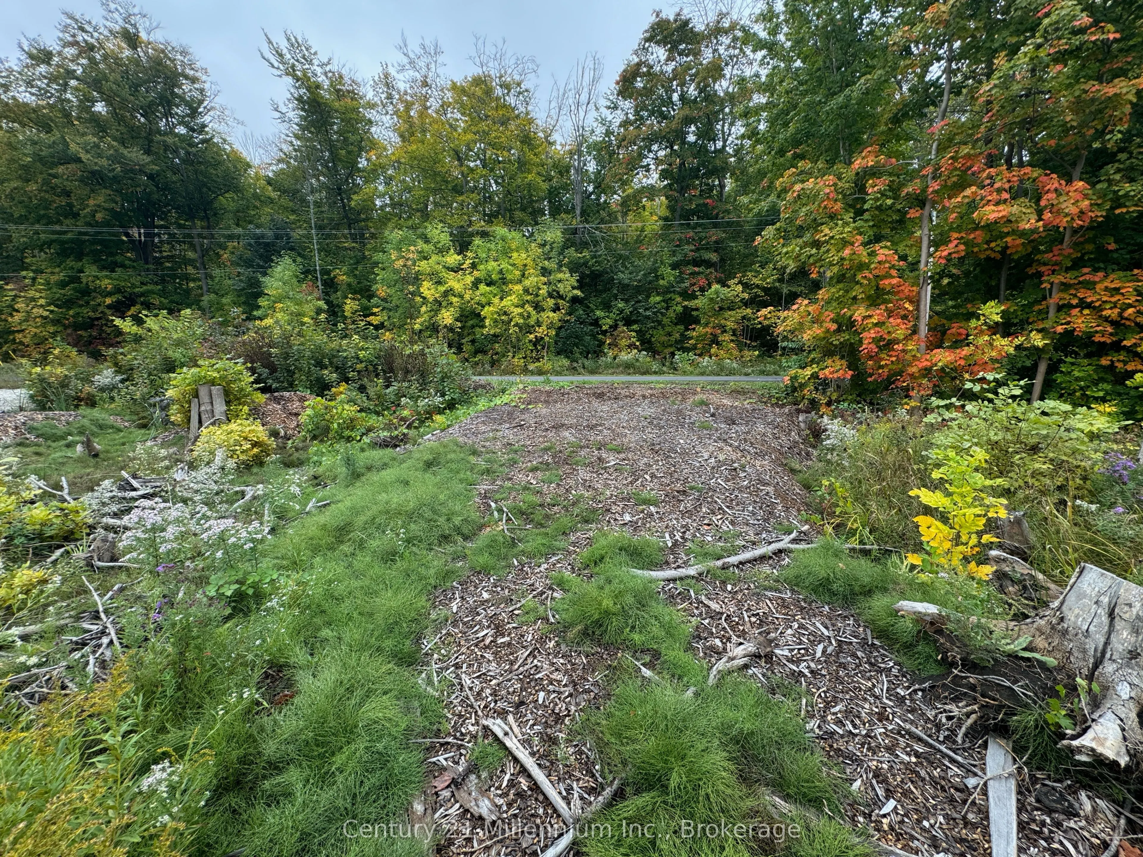 LOT 13 OLD 26 HWY