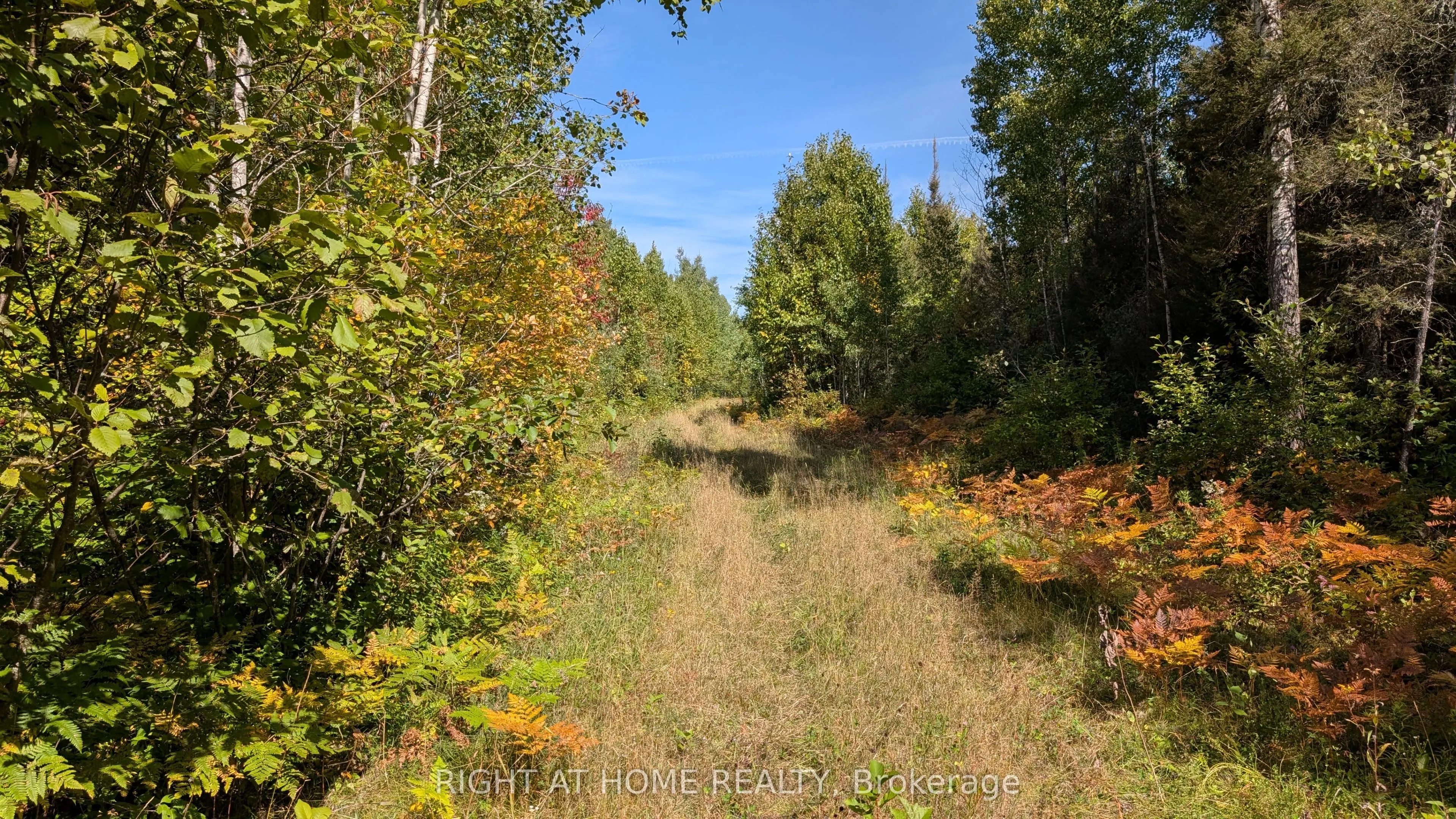 58 Bellefeuille Road S