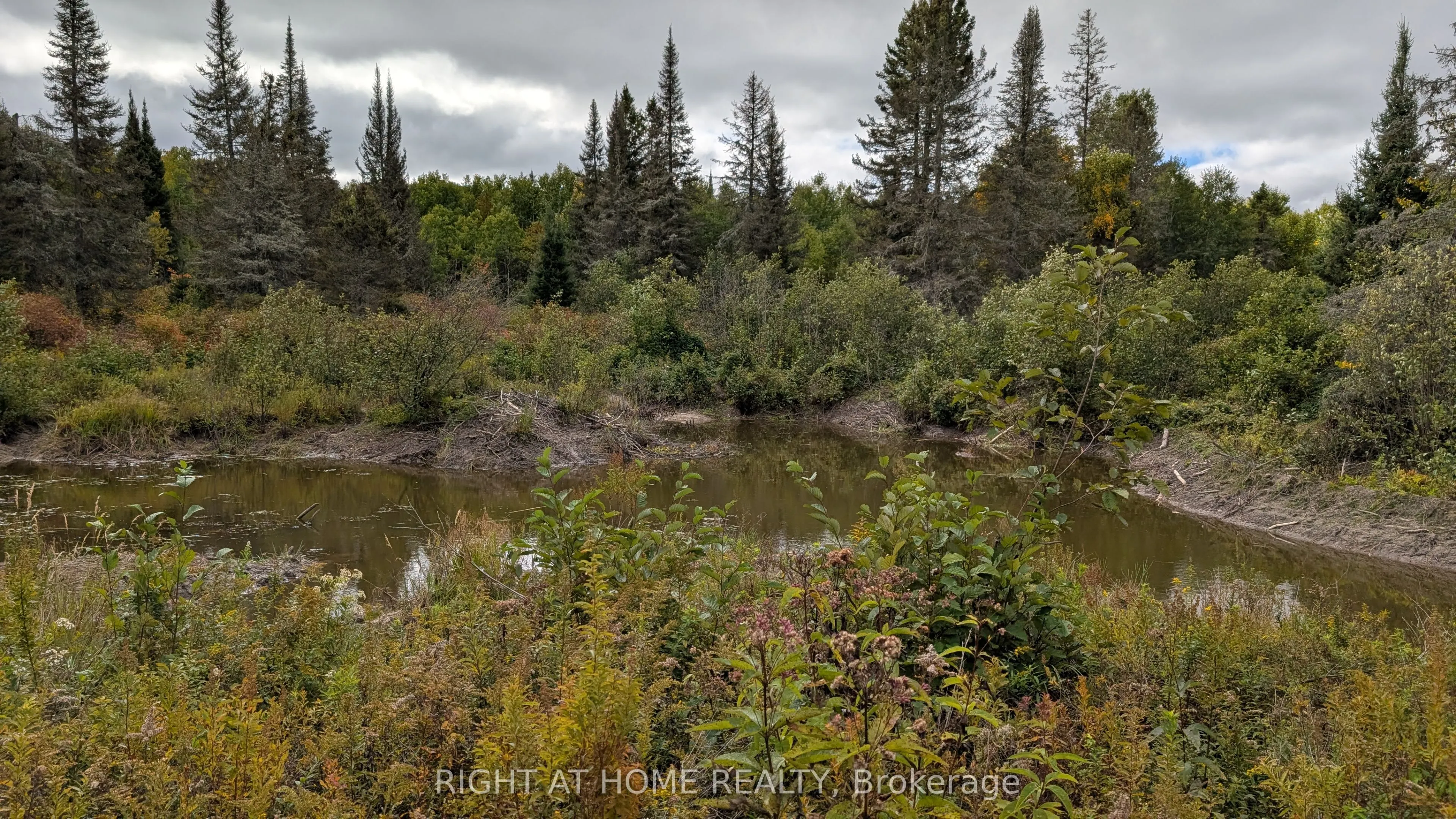 58 Bellefeuille Road S
