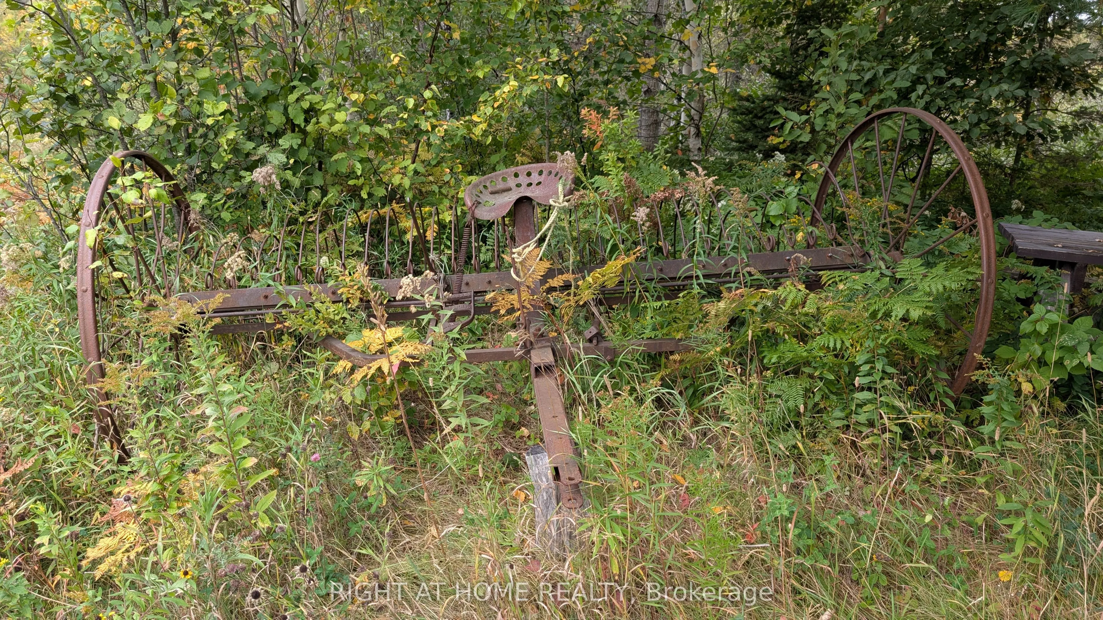 58 Bellefeuille Road S