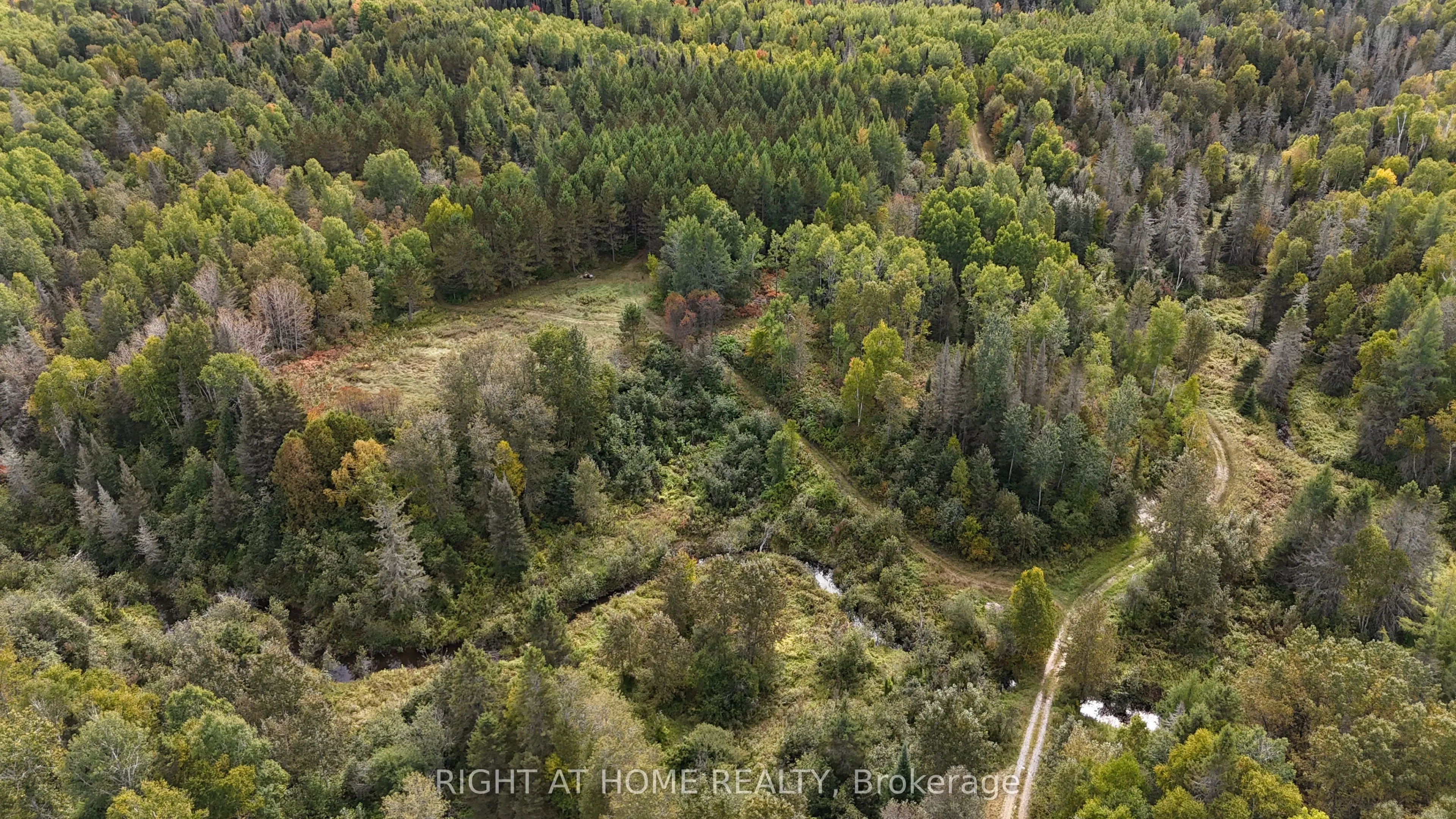 58 Bellefeuille Road S