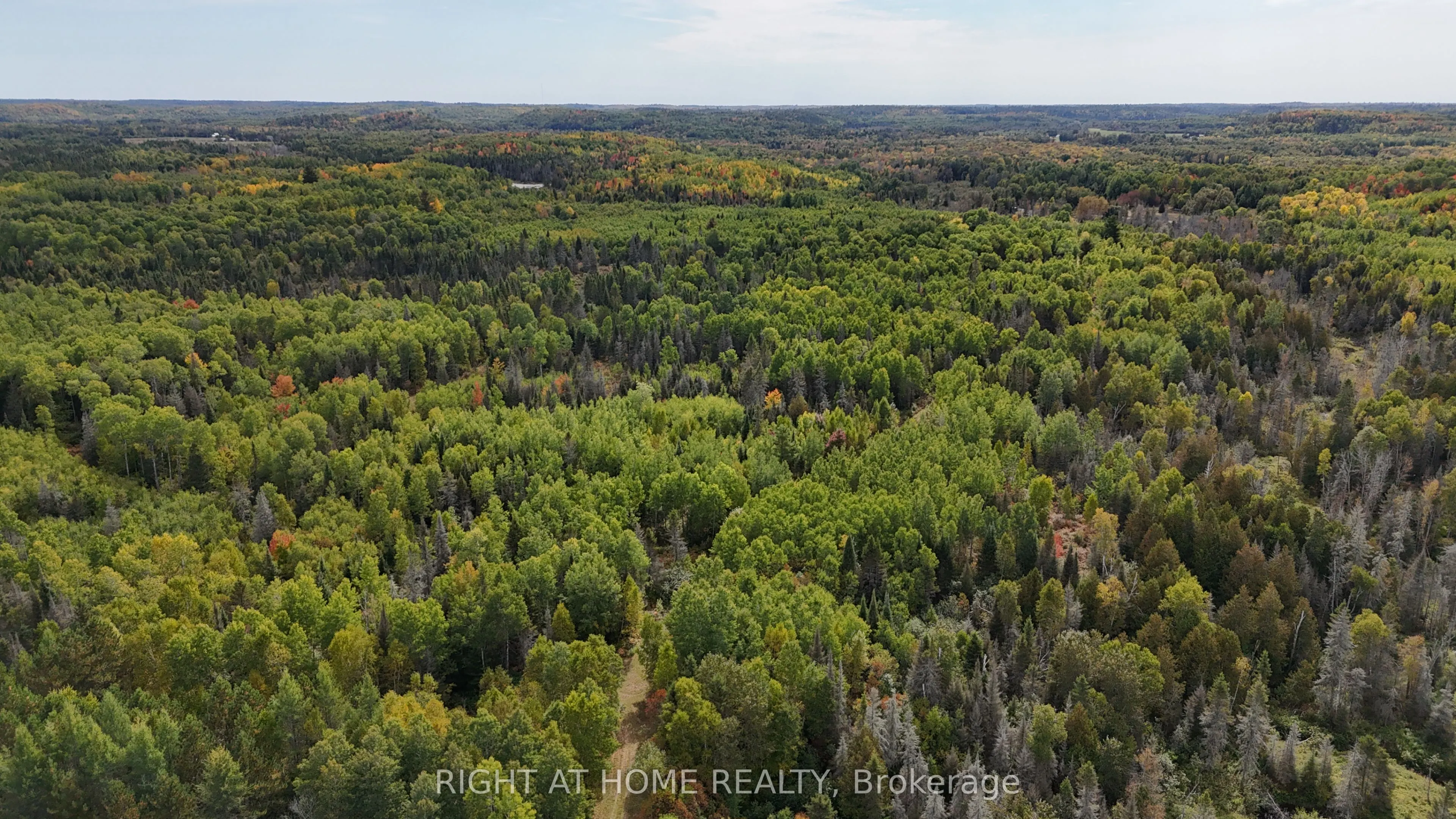 58 Bellefeuille Road S