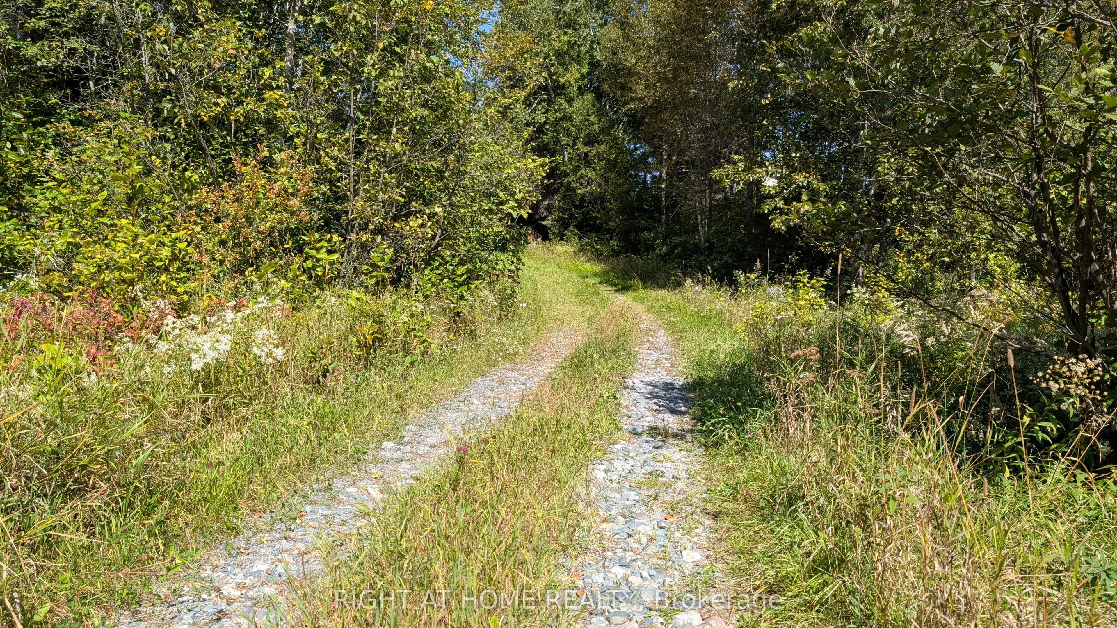 58 Bellefeuille Road S