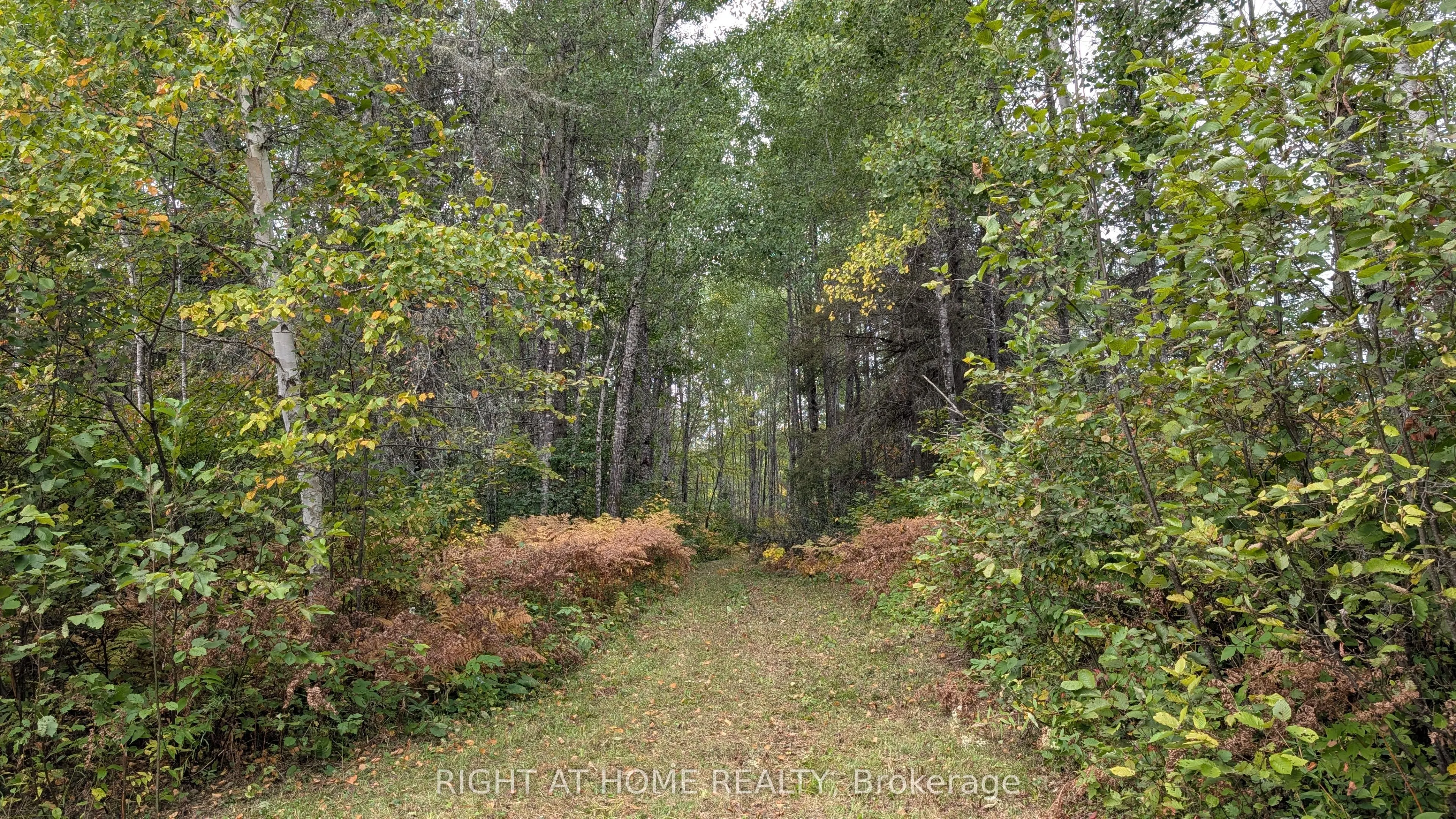 58 Bellefeuille Road S
