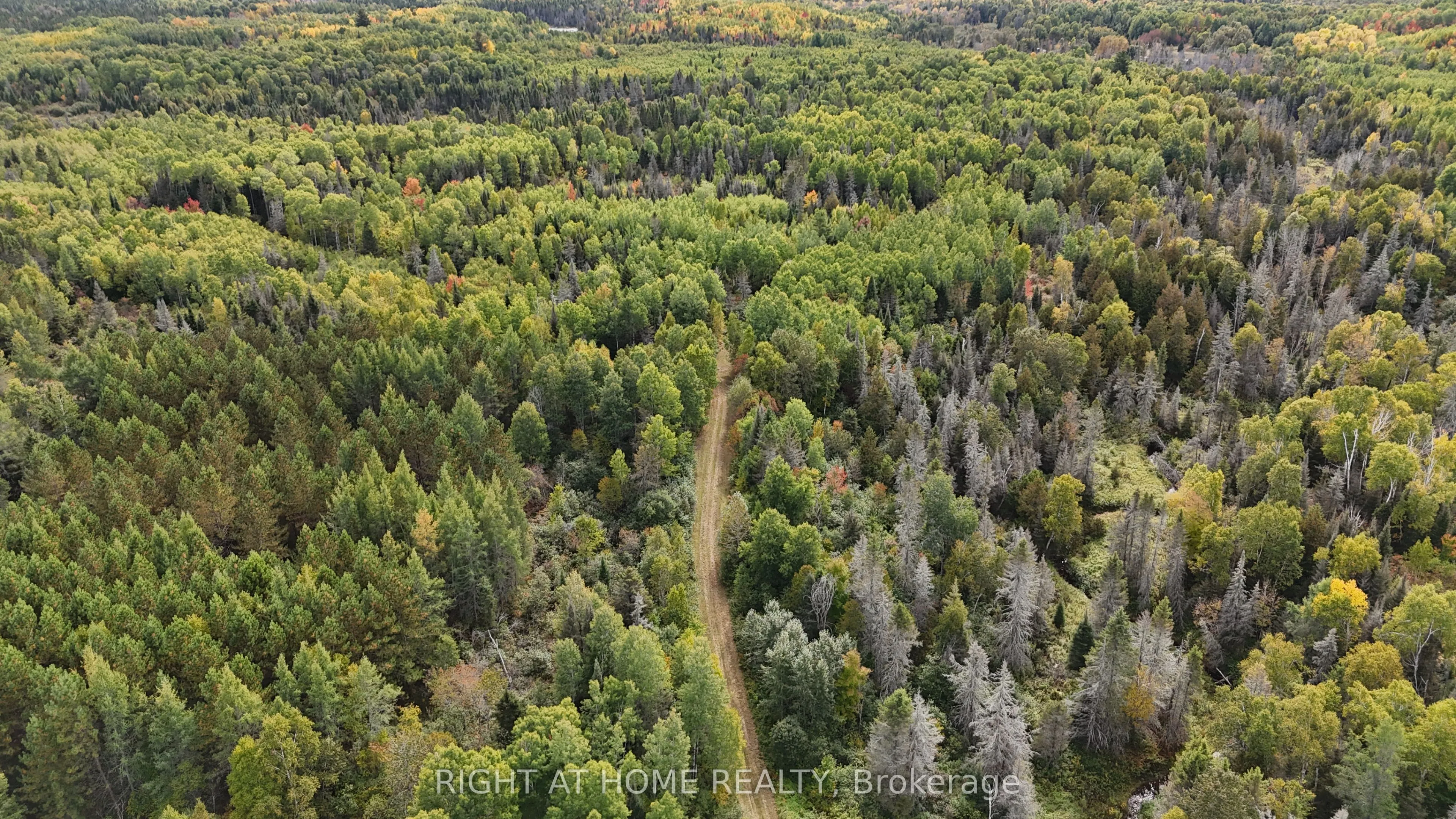 58 Bellefeuille Road S