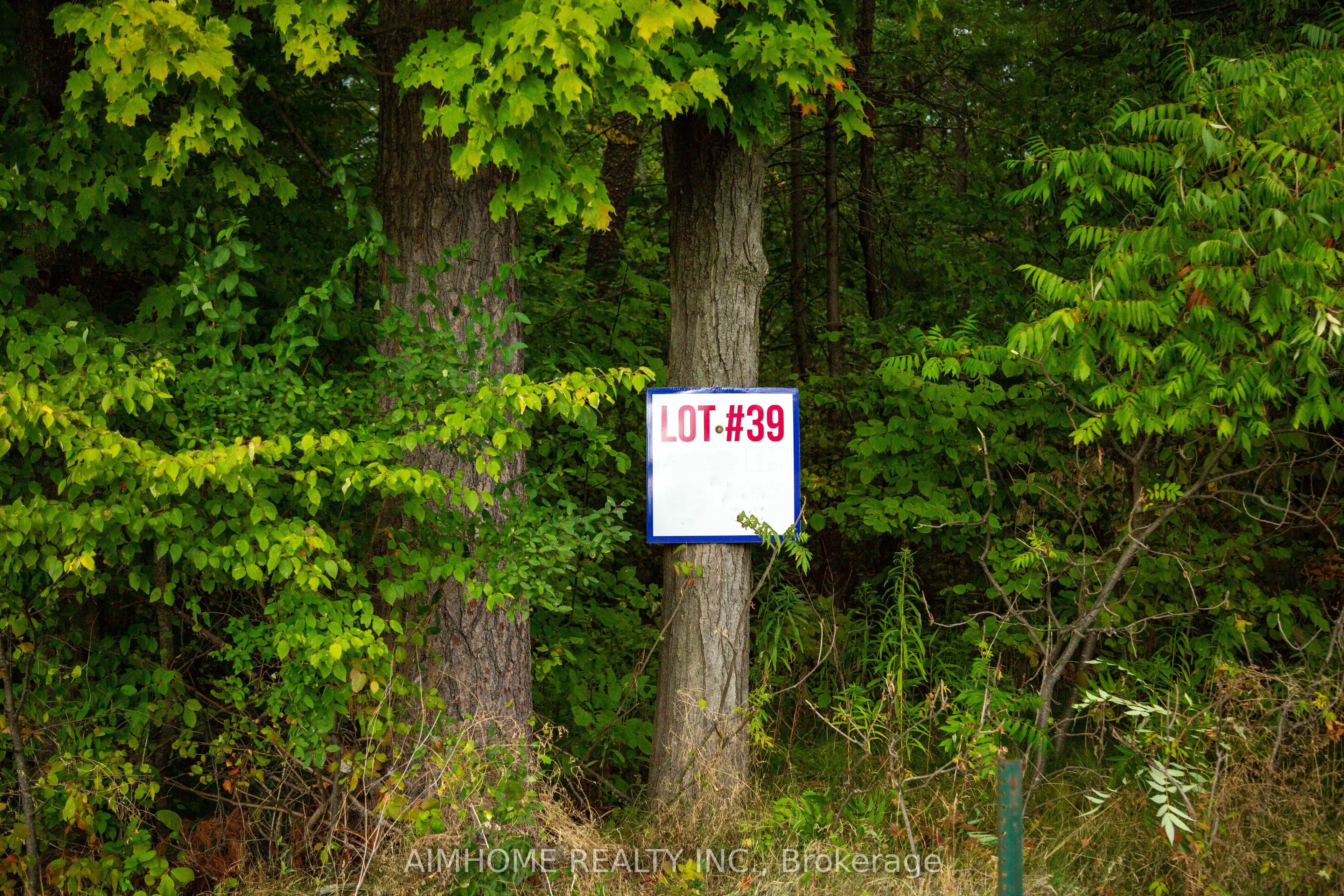 LOT 39 Fire Route 70