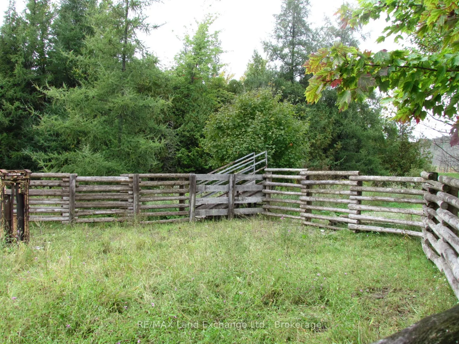 97 2 Bruce Twp. Concession