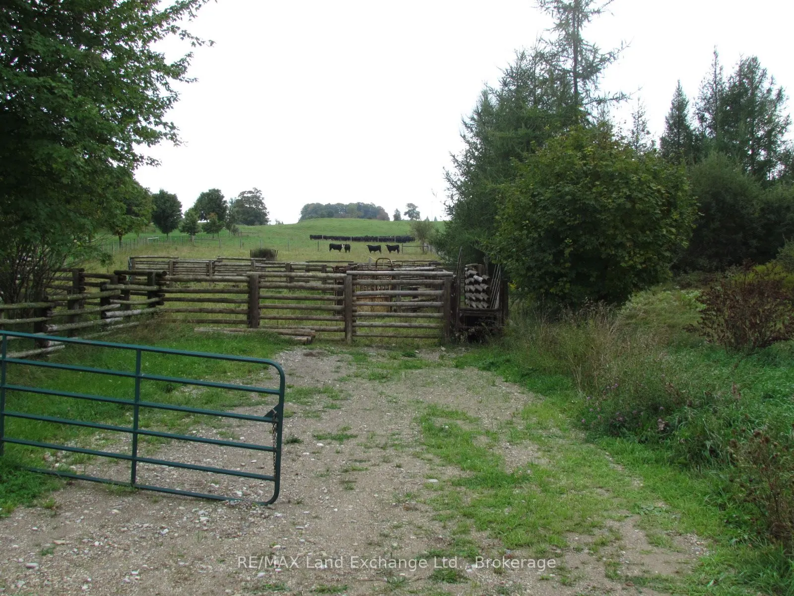 97 2 Bruce Twp. Concession