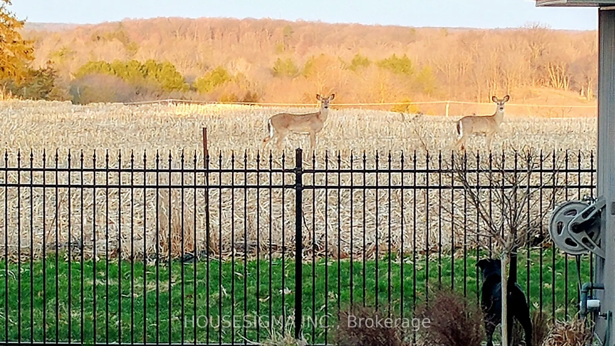 2203 Wickerson Road