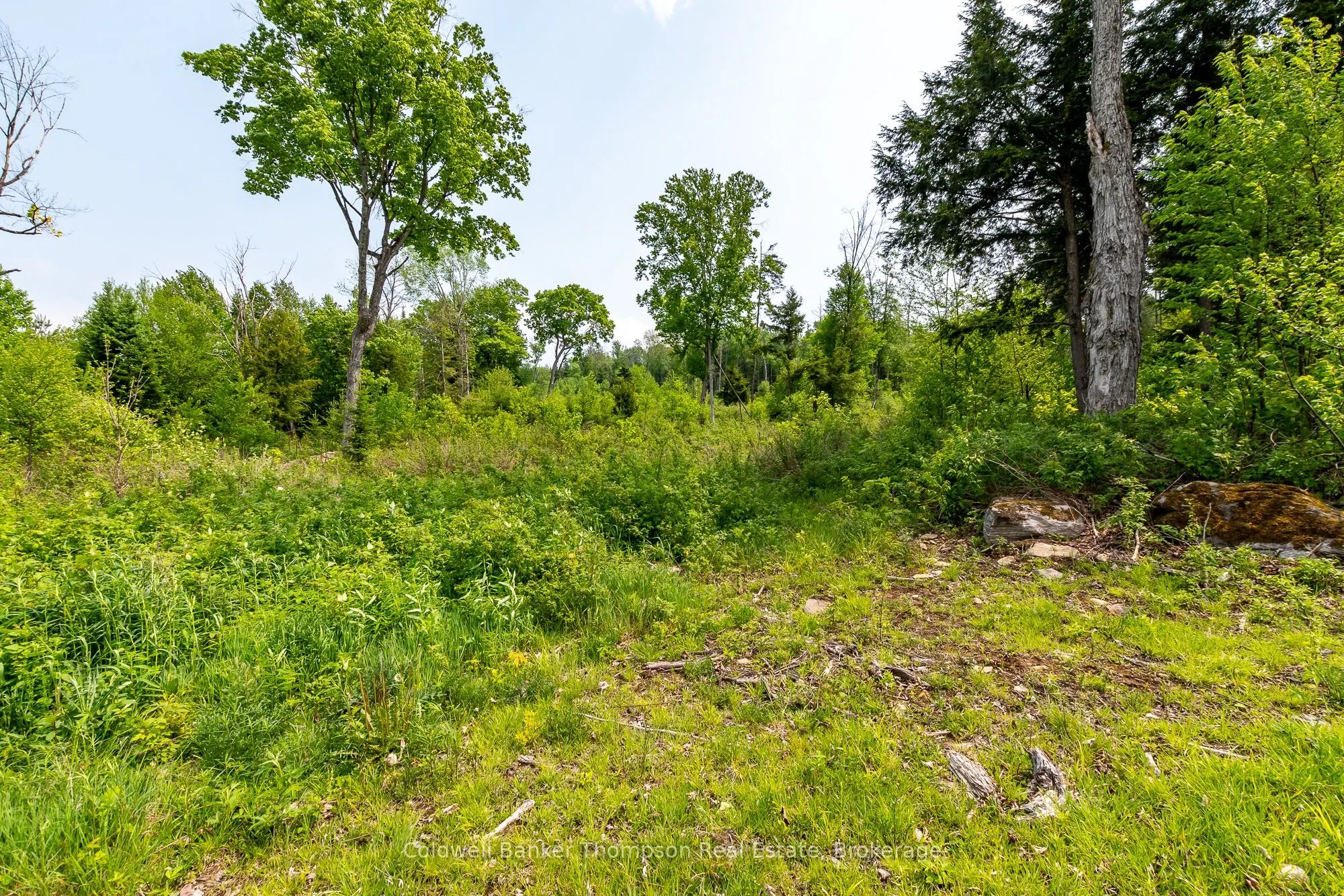 223 Peggs Mountain Road