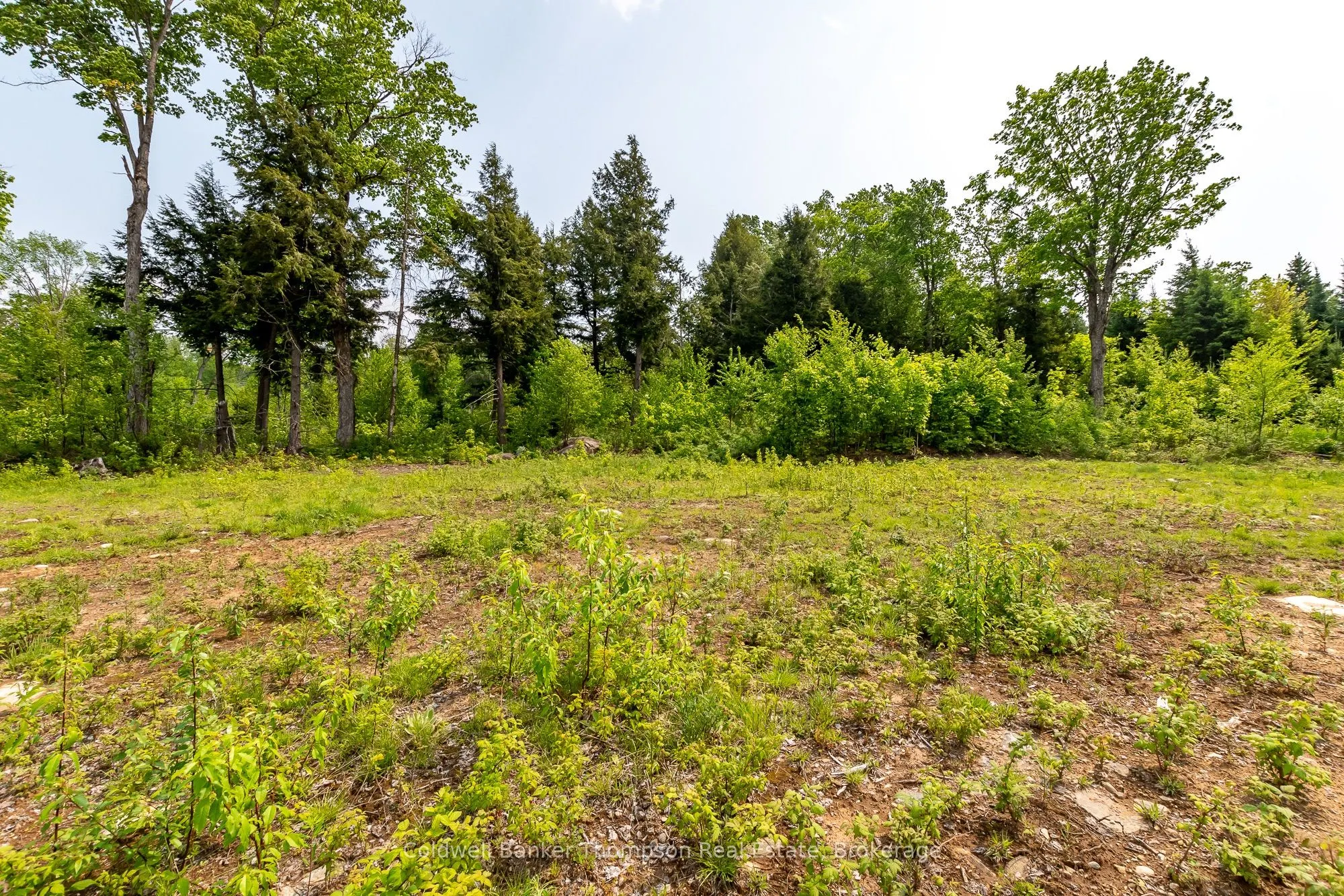 223 Peggs Mountain Road