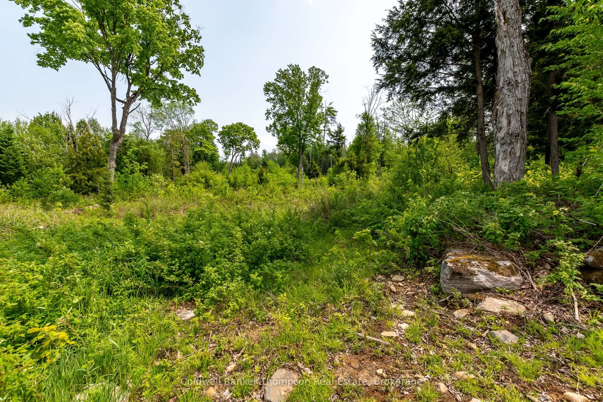 223 Peggs Mountain Road