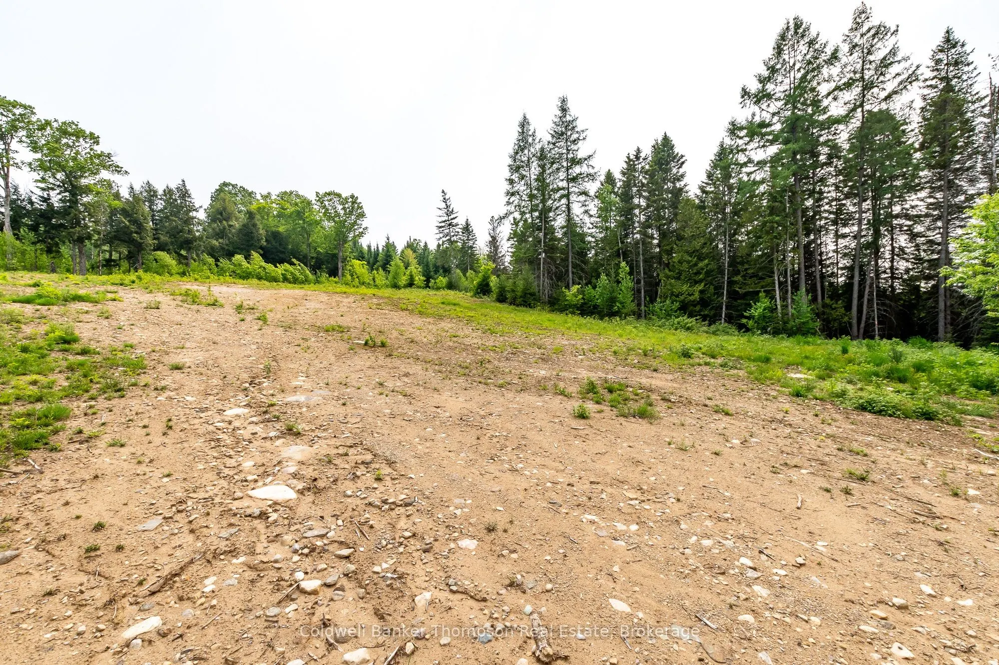 223 Peggs Mountain Road