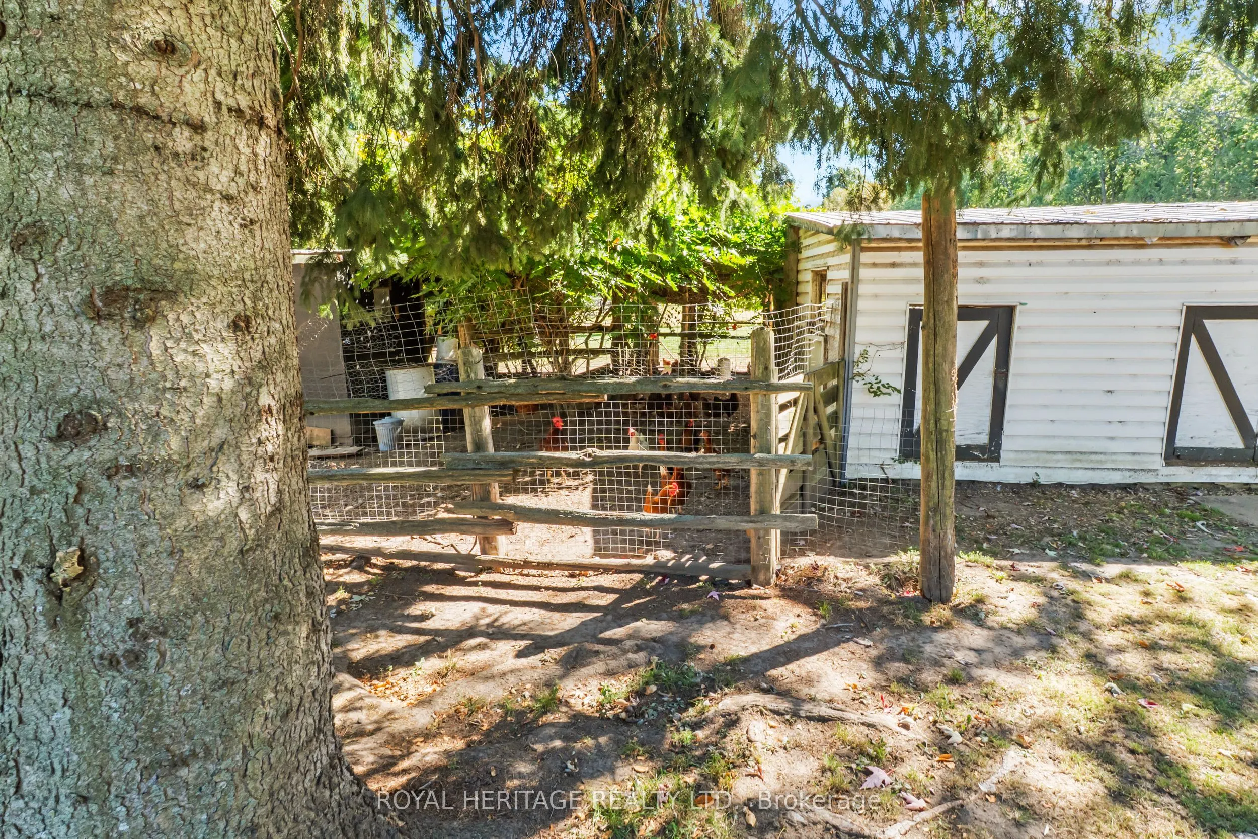 10629 County Rd 2 Road