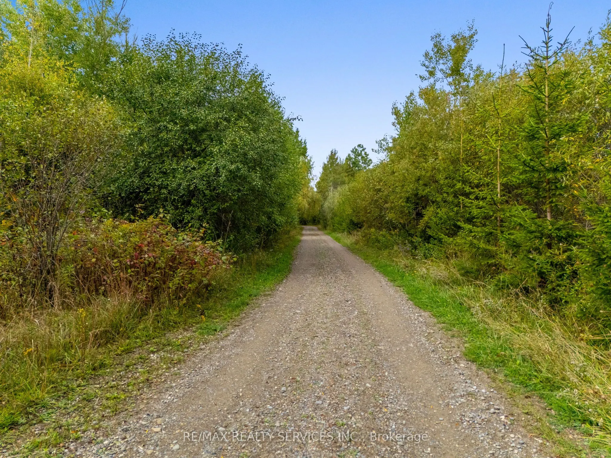 8777 17th Sideroad