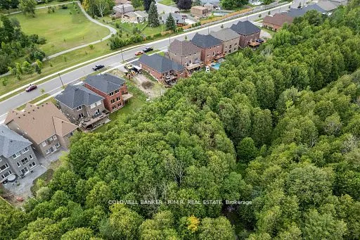 60 Alcorn Drive