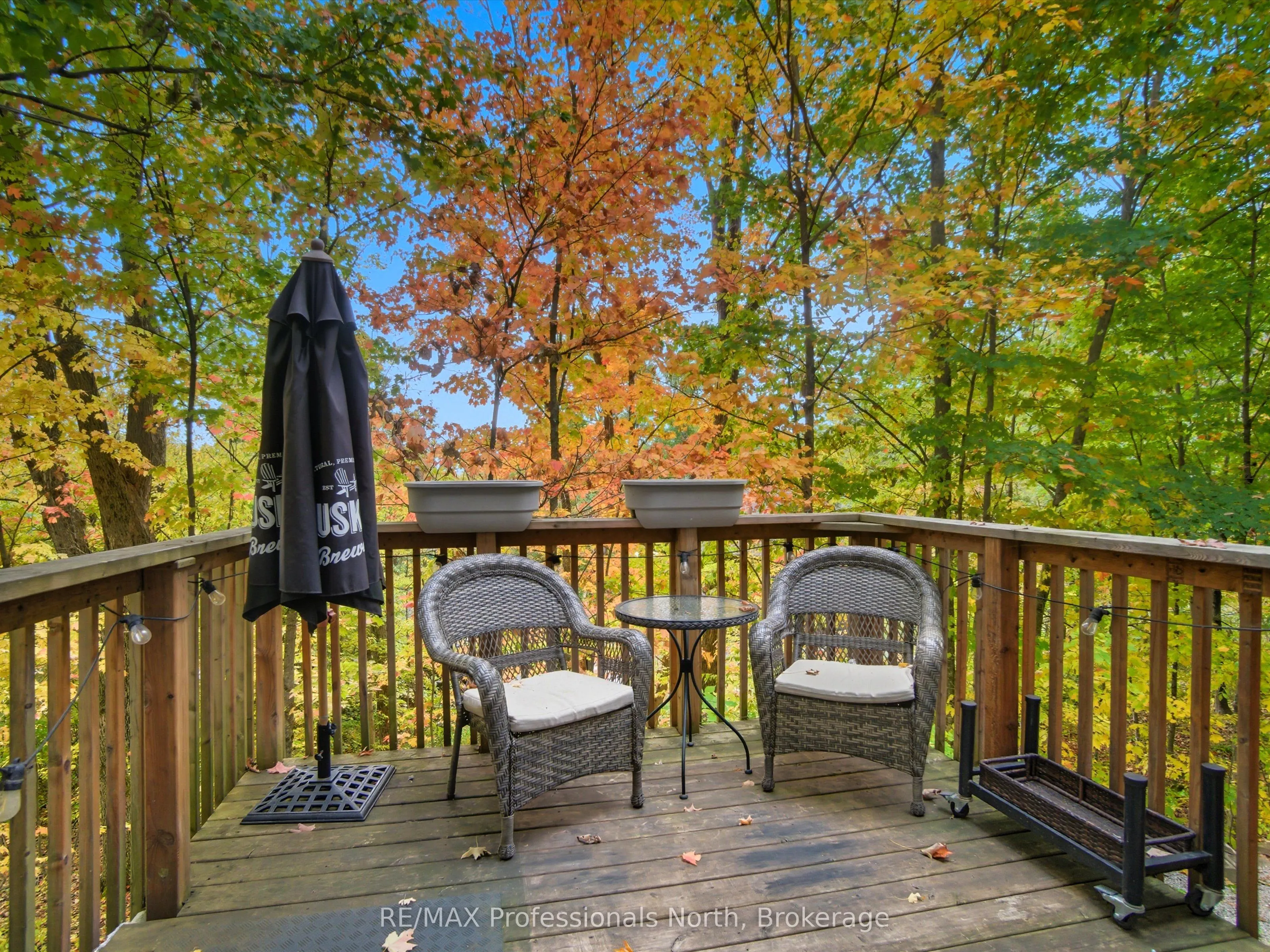 1755 Skyline Drive