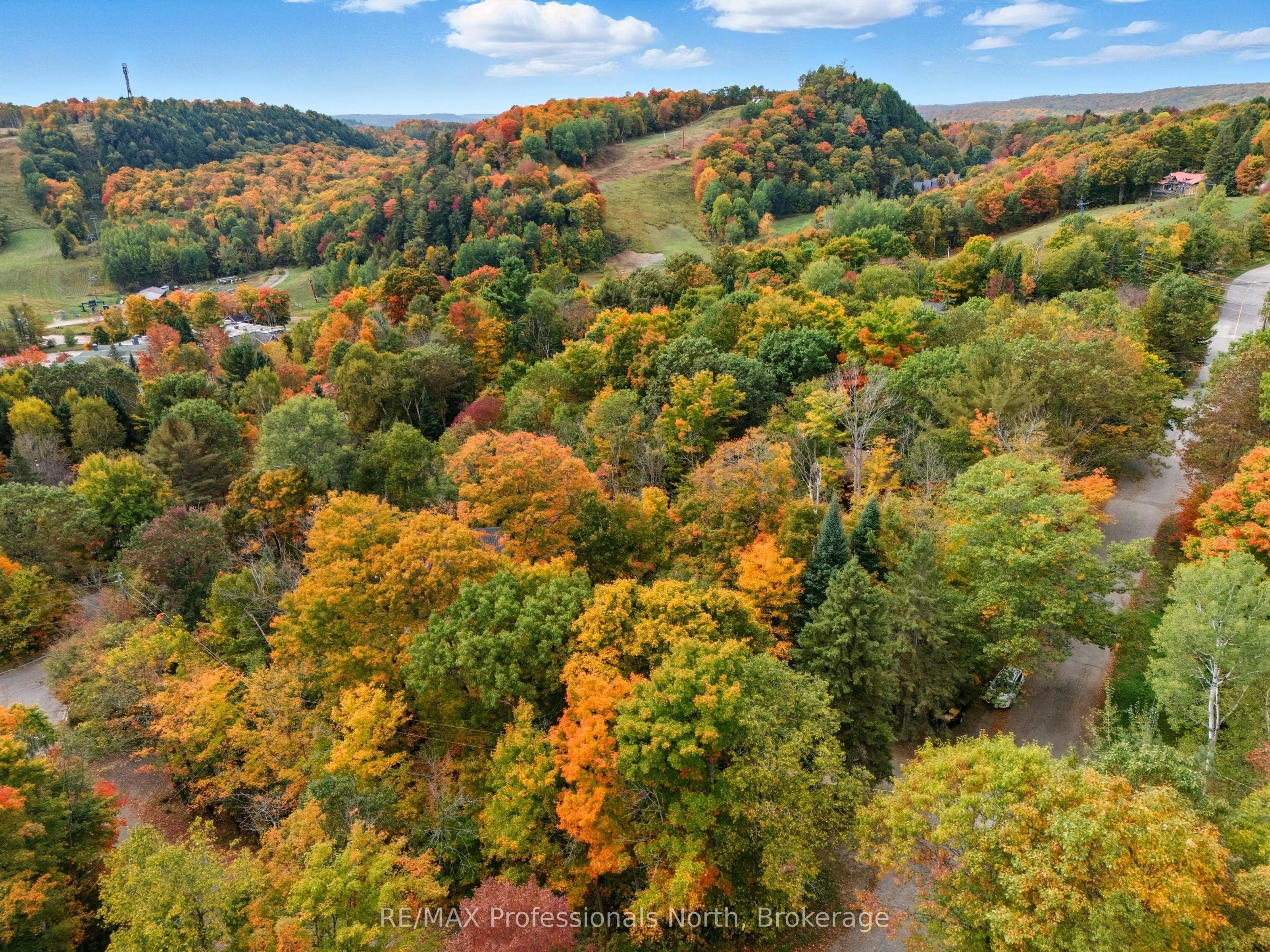 1755 Skyline Drive