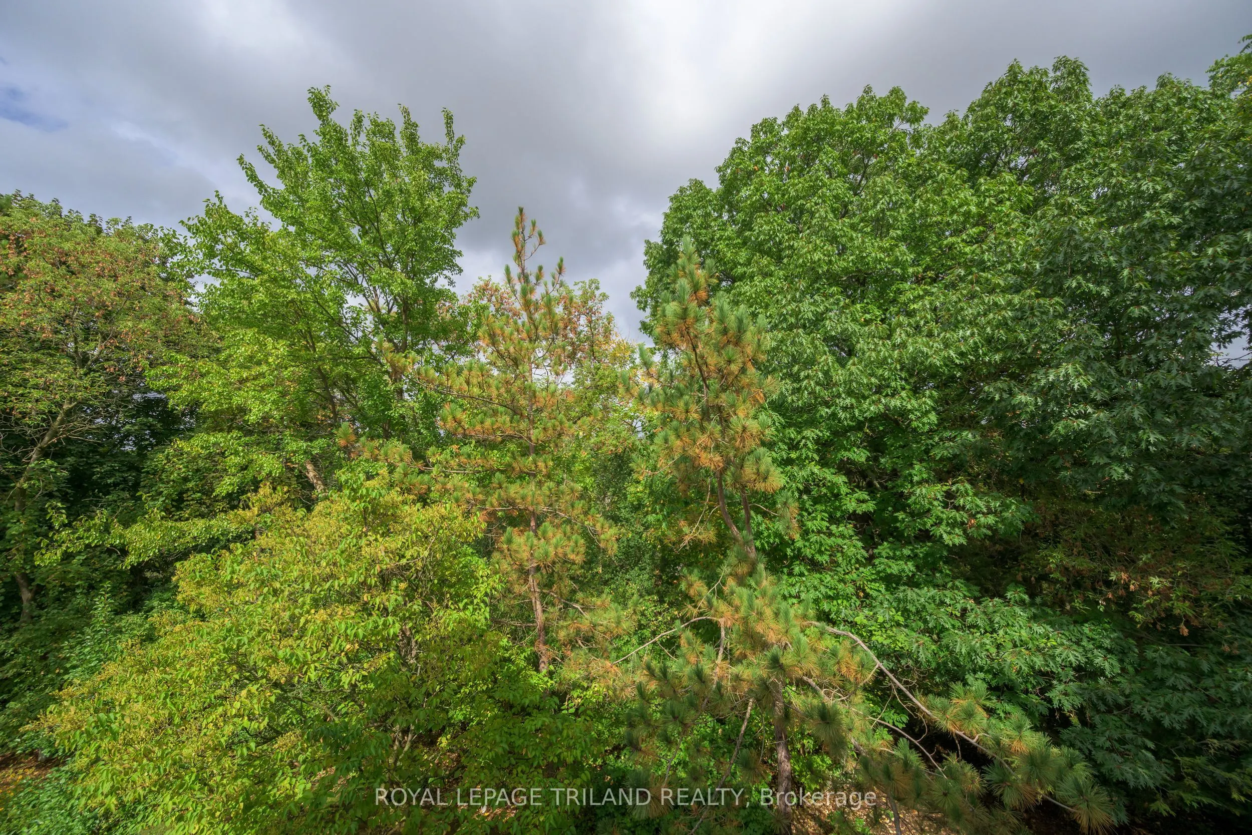 1399 Commissioners Road W, #12