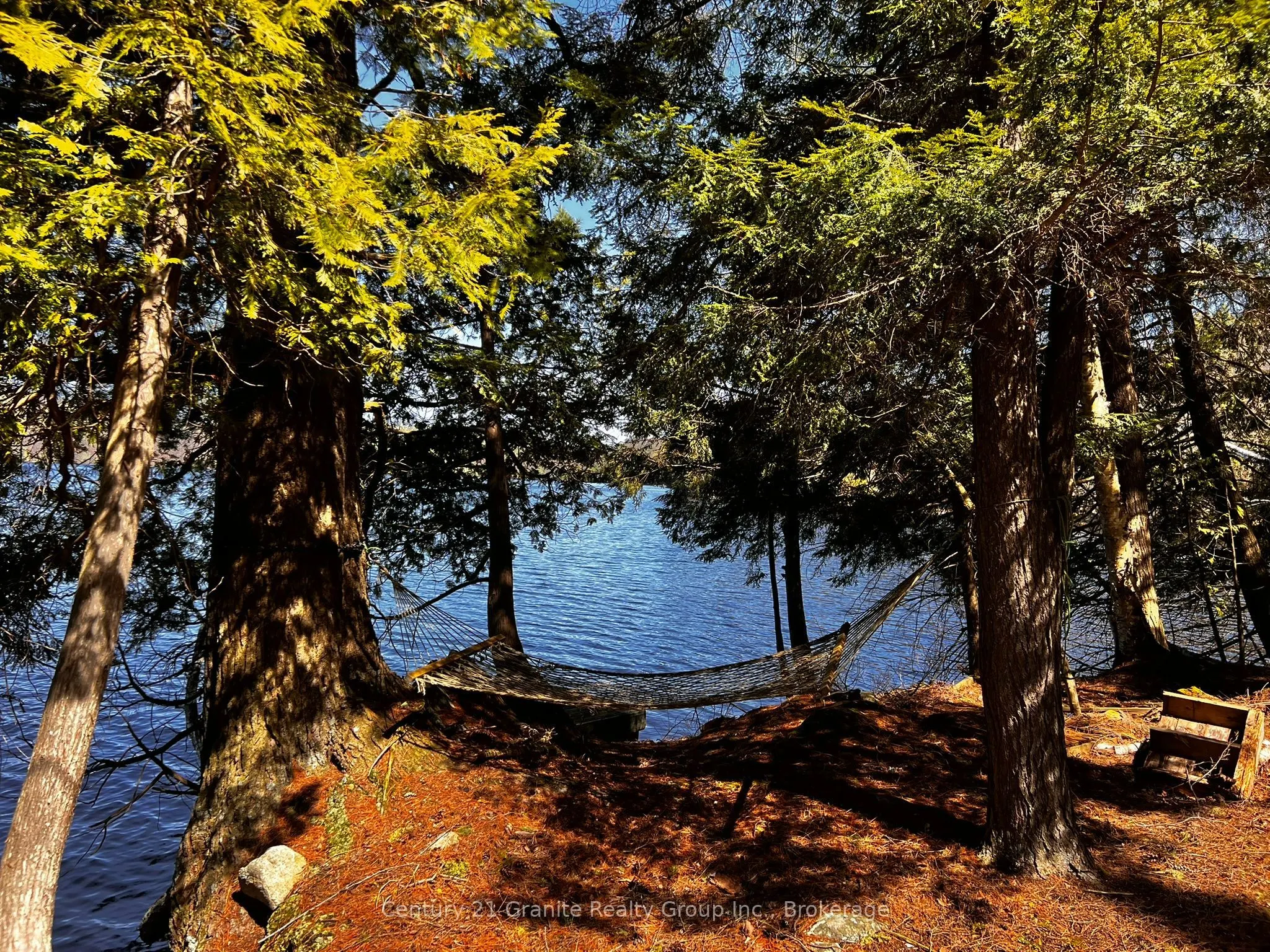 1208 Reg's Trail