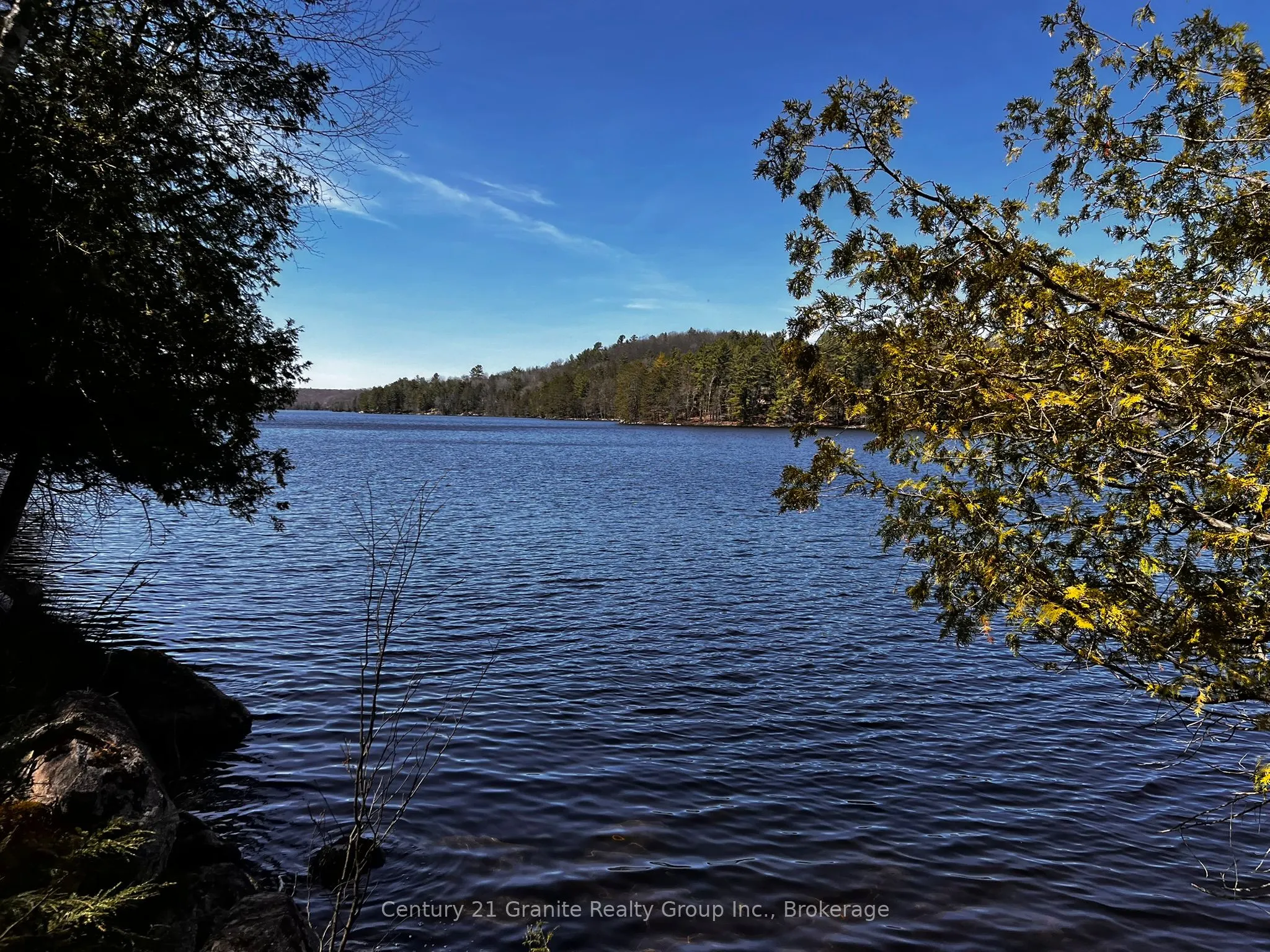 1208 Reg's Trail