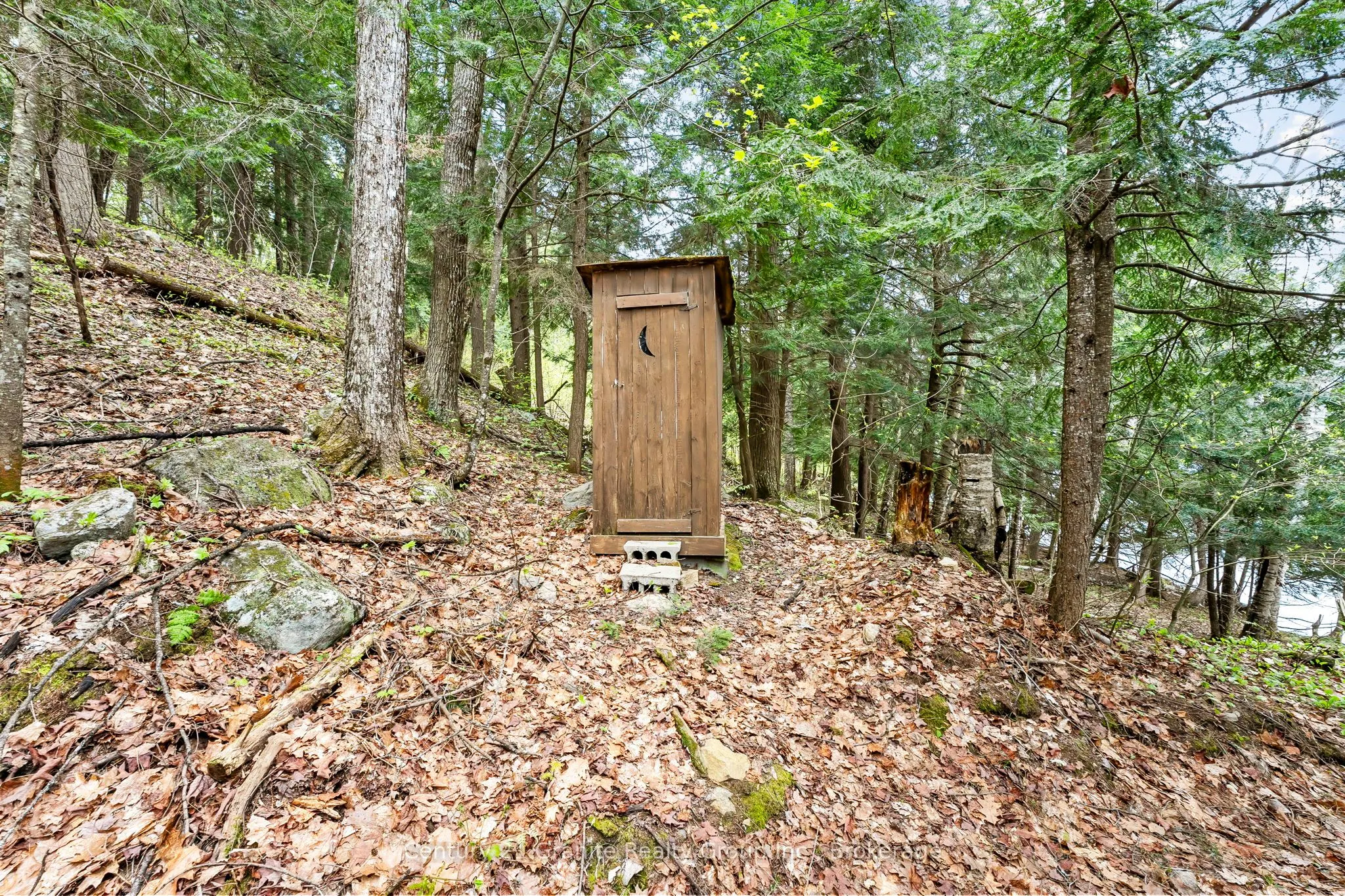 1208 Reg's Trail