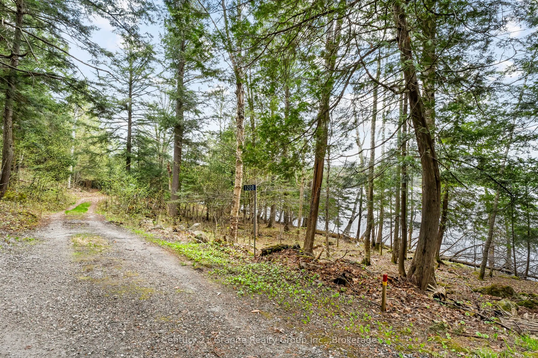 1208 Reg's Trail